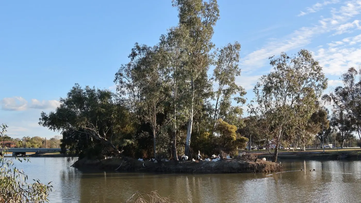 On elephants and islands