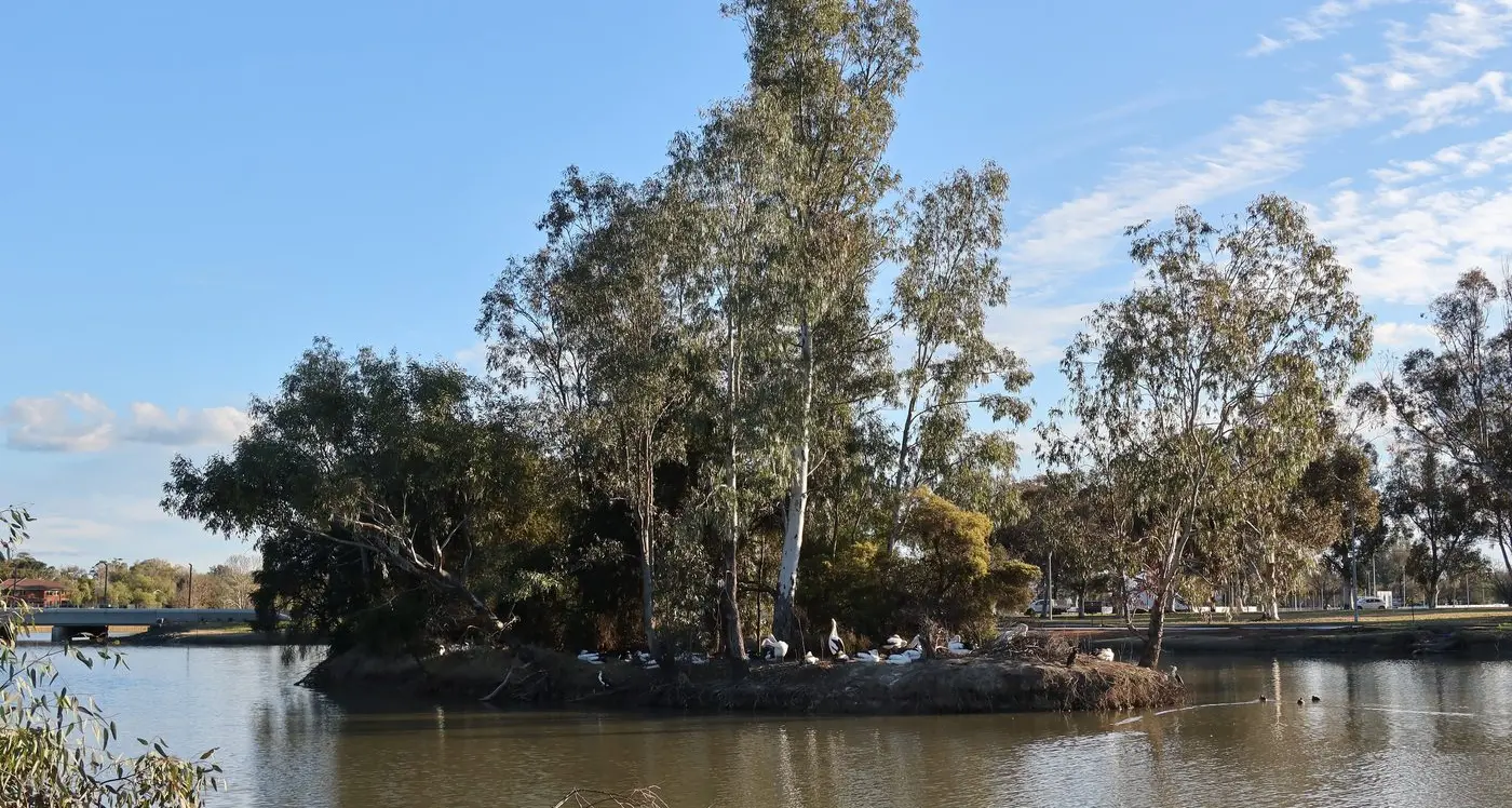 On elephants and islands