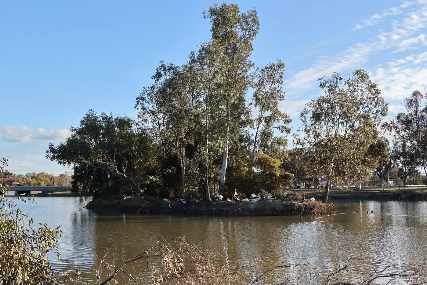 These islands were also constructed as bird sanctuaries and breeding areas. PHOTO: Rob Willis