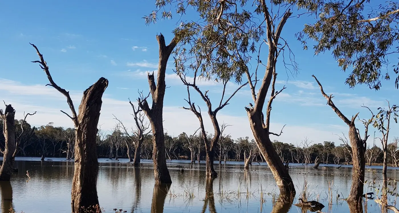 Protecting wetlands for our common future
