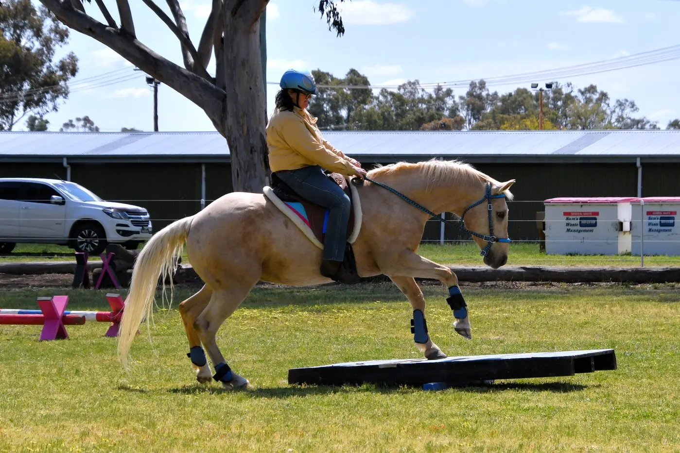 Kim Parker of Woodstock on Hank - crossing the see-saw at the September Forbes event. PHOTO: Jenny Kingham