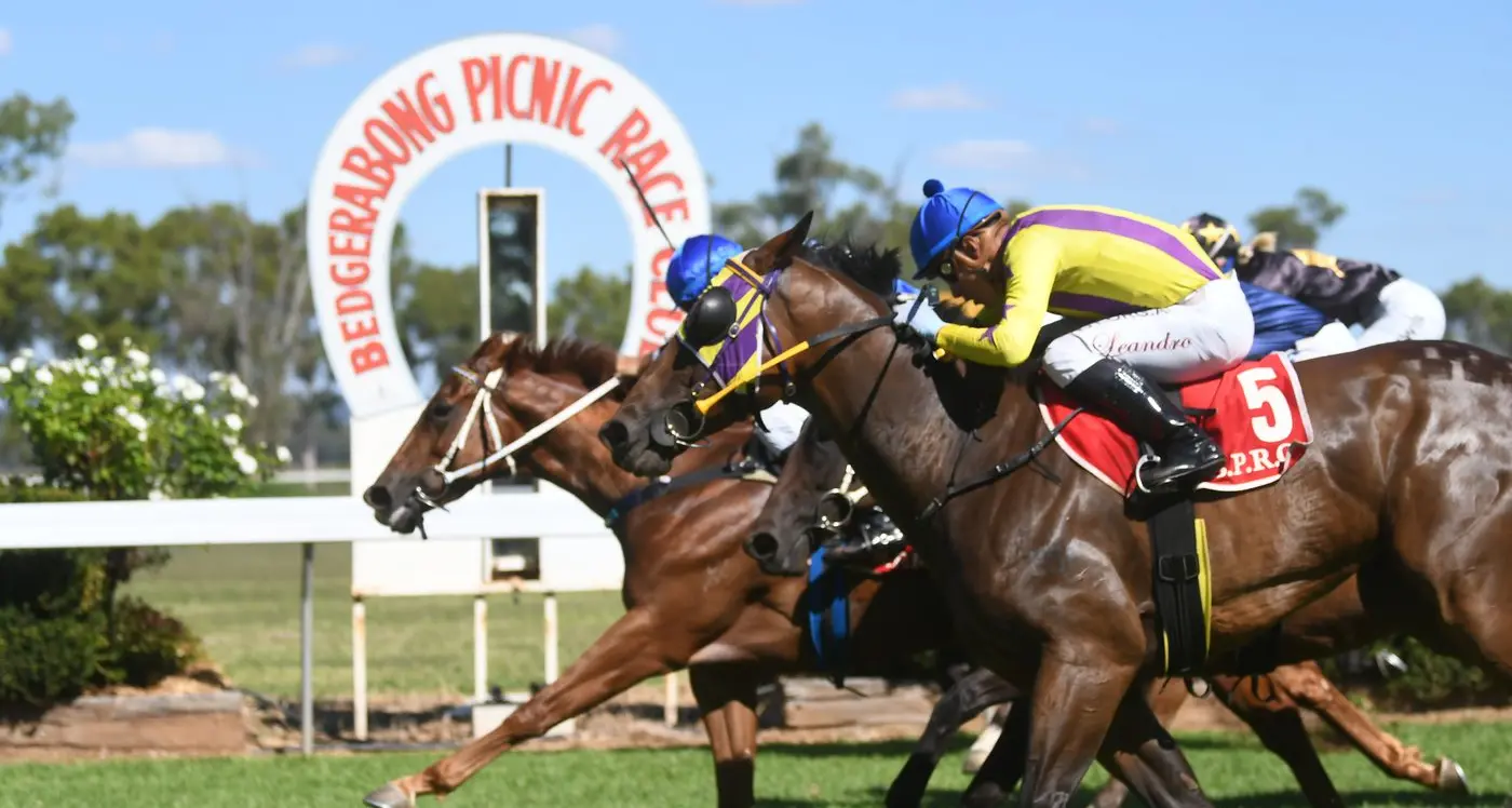 What's on, from picnic races to flood recovery check-in