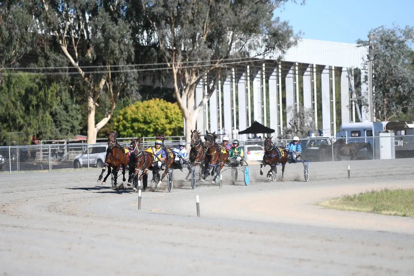 Harness racing is back on track in Forbes in time for our traditional ANZAC Day meeting. 