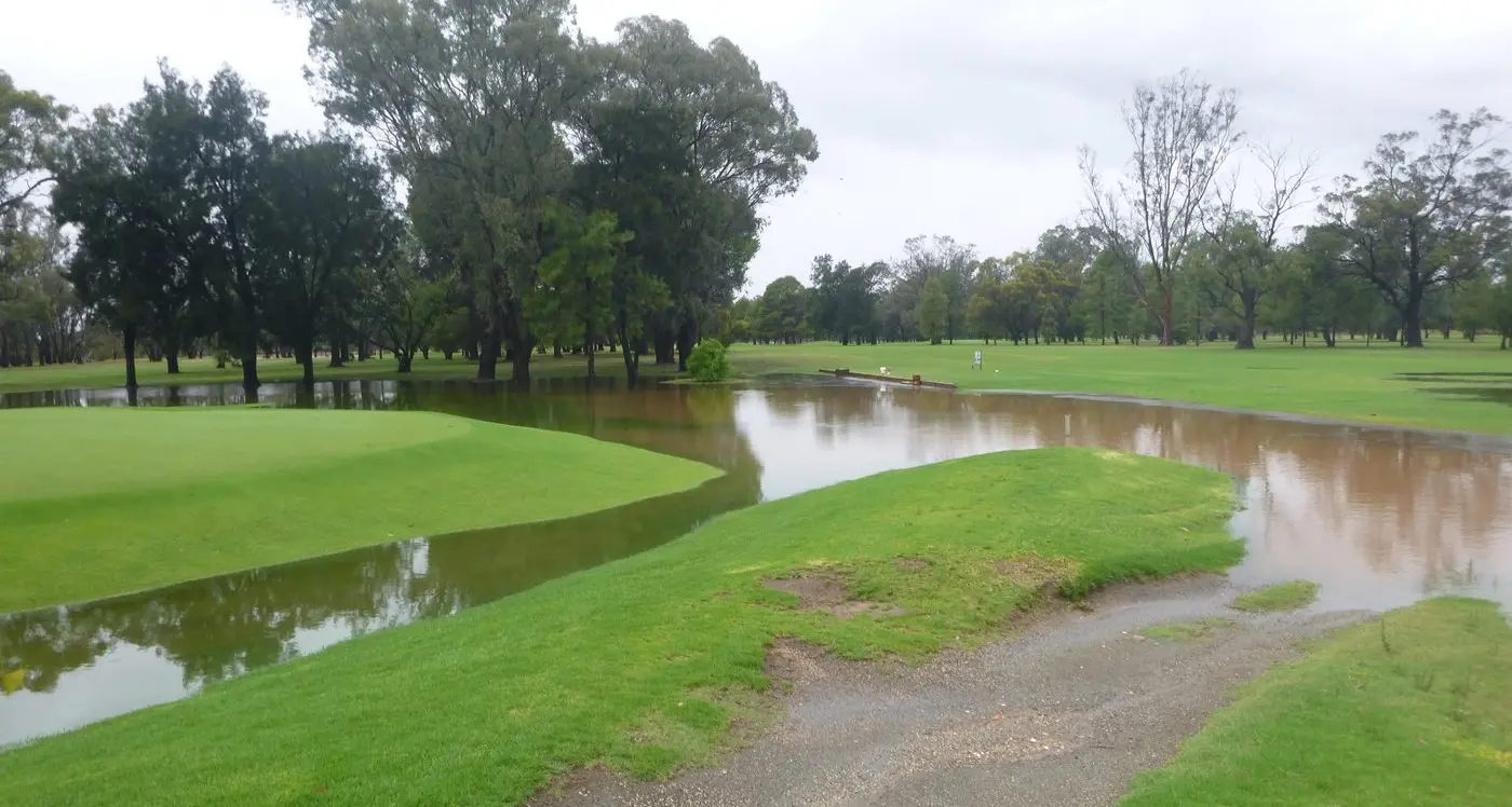 Rush to play pays off