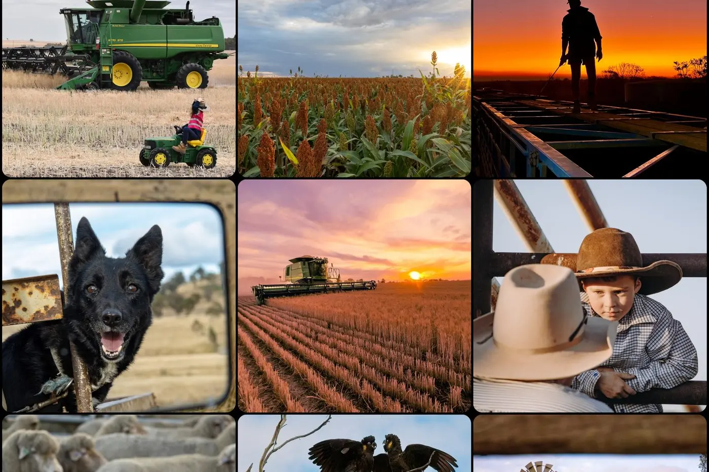 Some of the winning images from Spirit of the Bush 2024. PHOTOS: Supplied