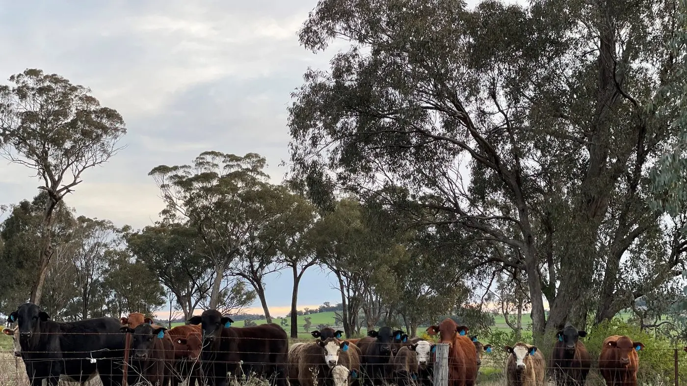 Valuer General's report is out: Local land values steady