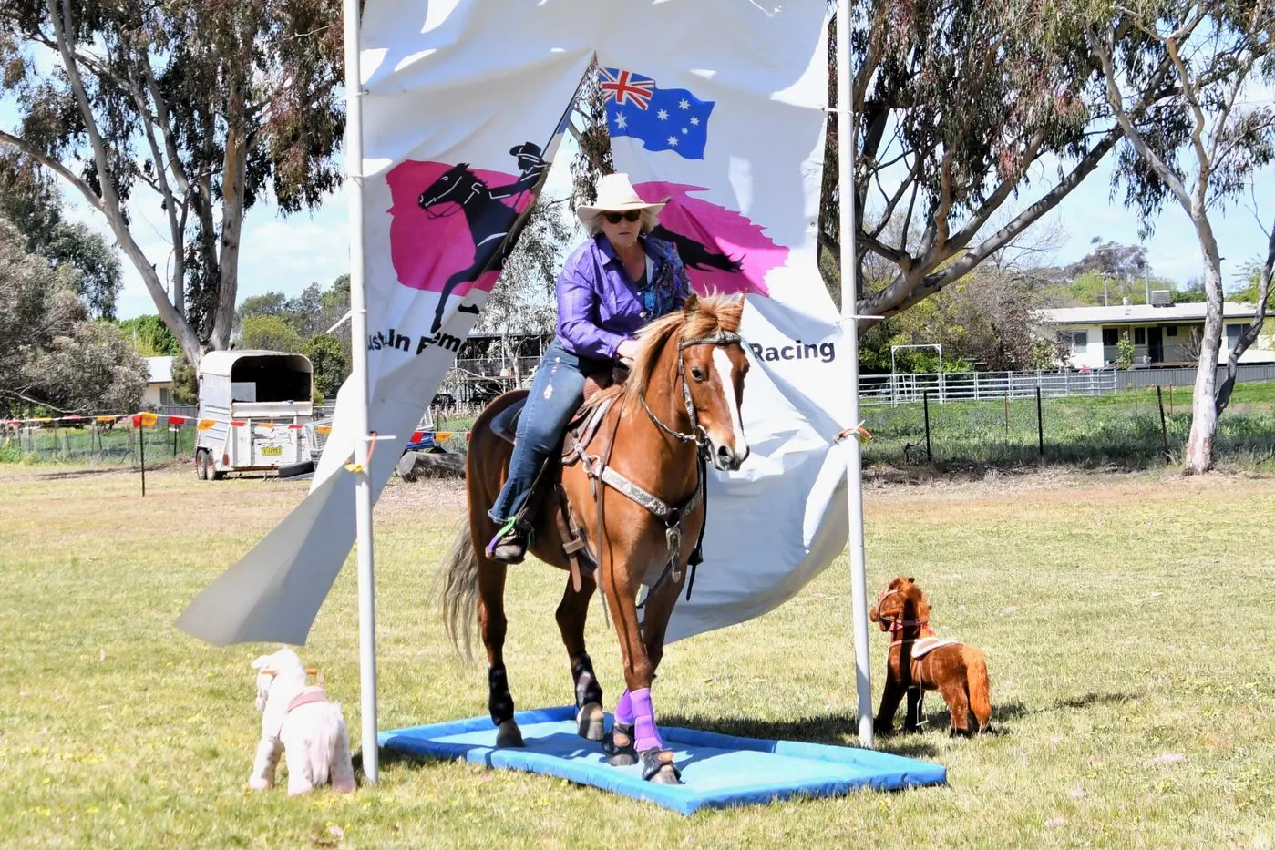 Kay Markwort of Forbes on Danny - going through the curtains. PHOTO: Jenny Kingham