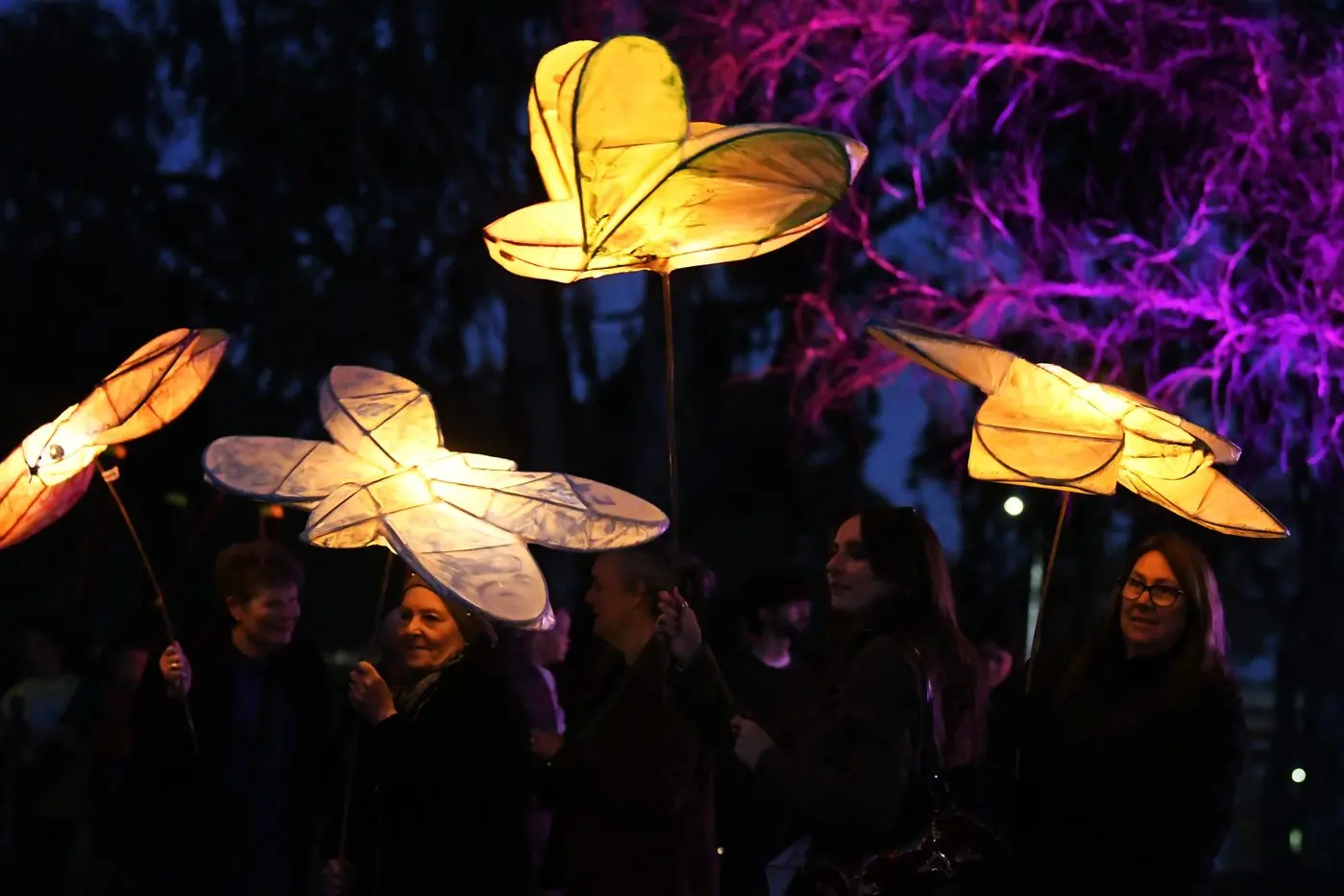 The Bogong Moth lanterns were a beautiful feature of Saturday\\'s lantern parade.