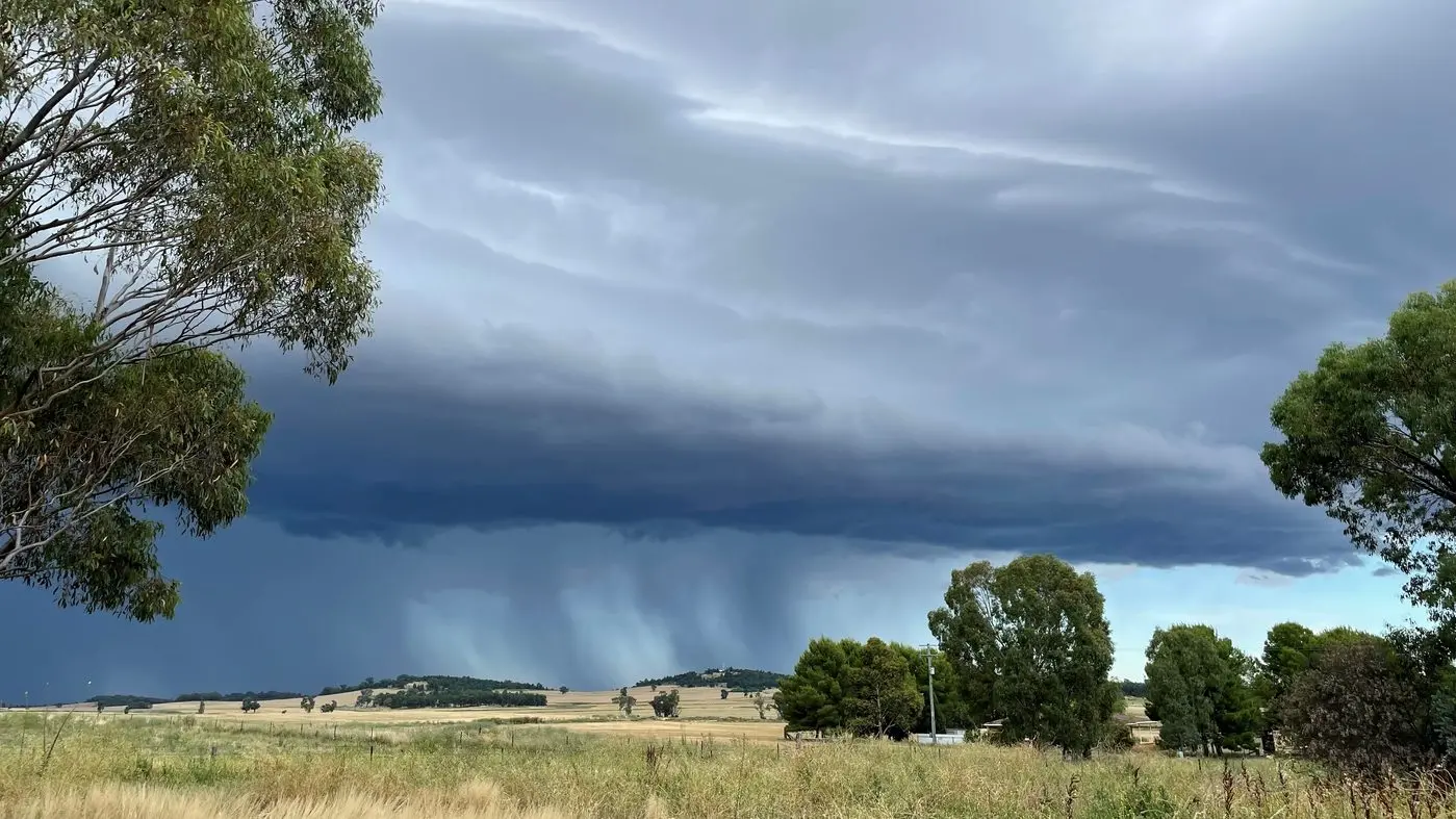Health district issues thunderstorm asthma warning