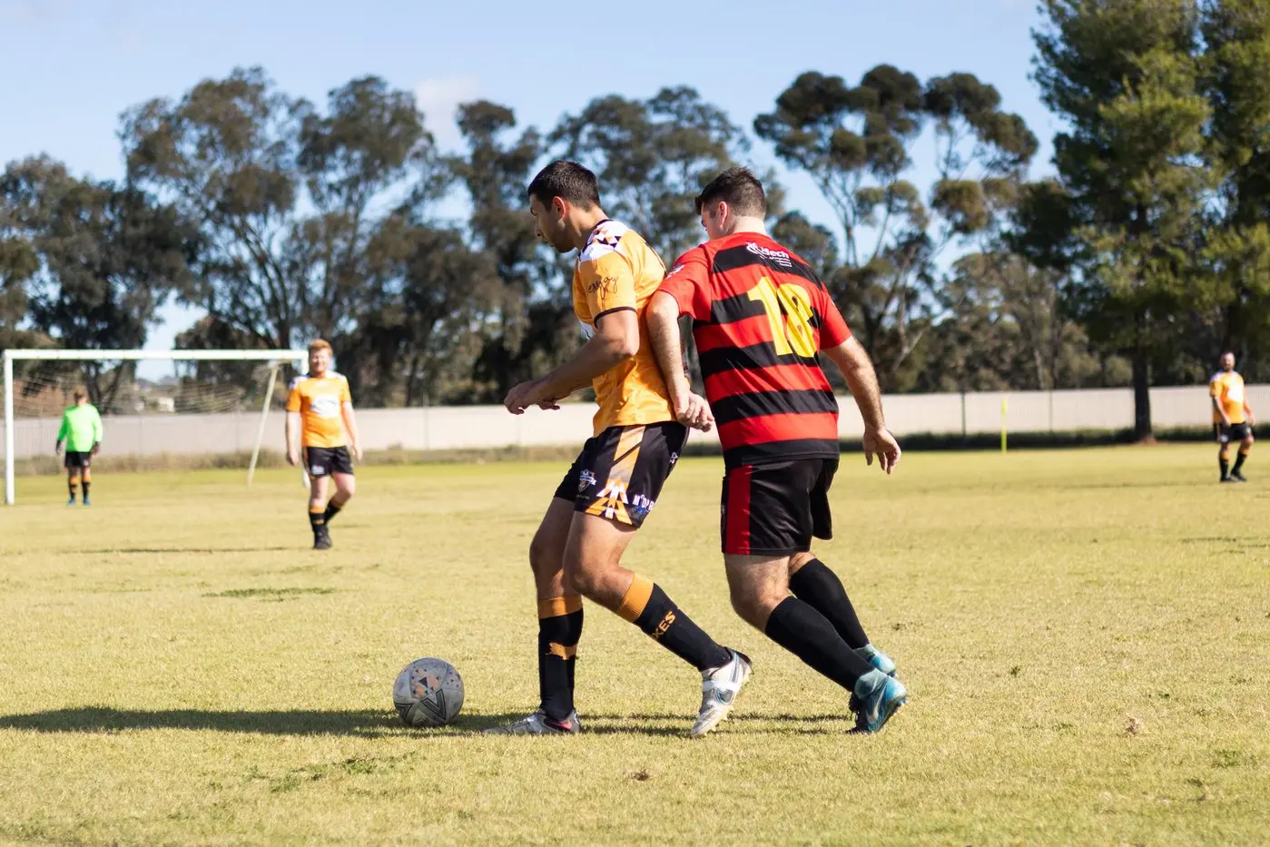David Hodge gets away with the ball for the Foxes. Picture Essjay Photography