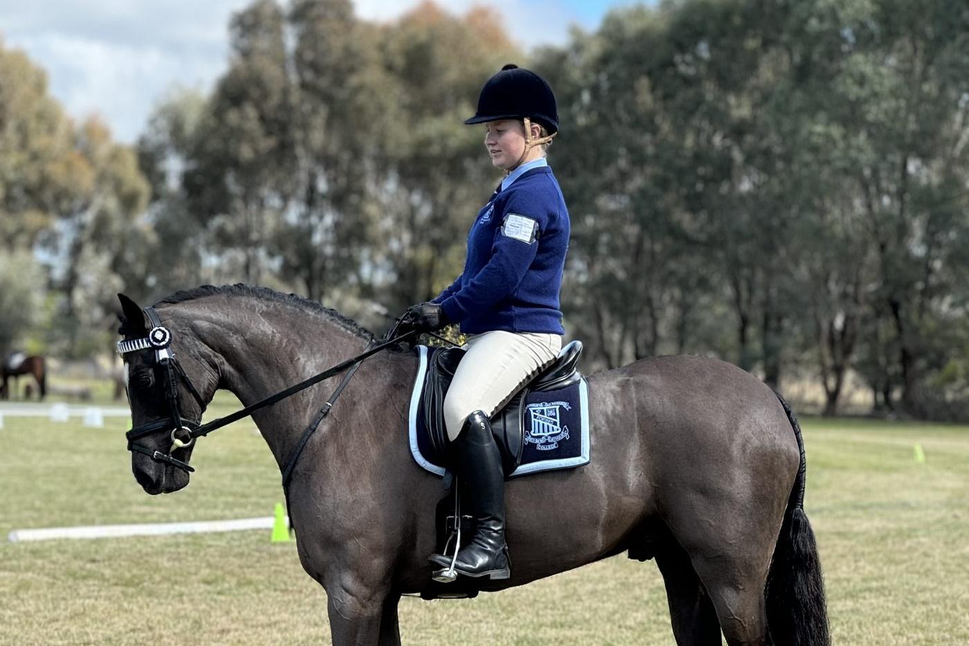 Brooke's success in the arena