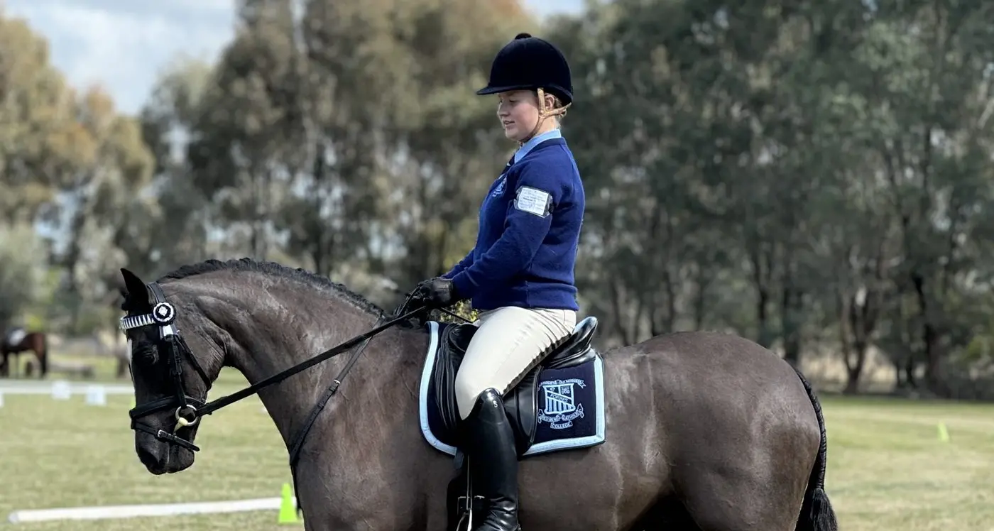 Brooke's success in the arena