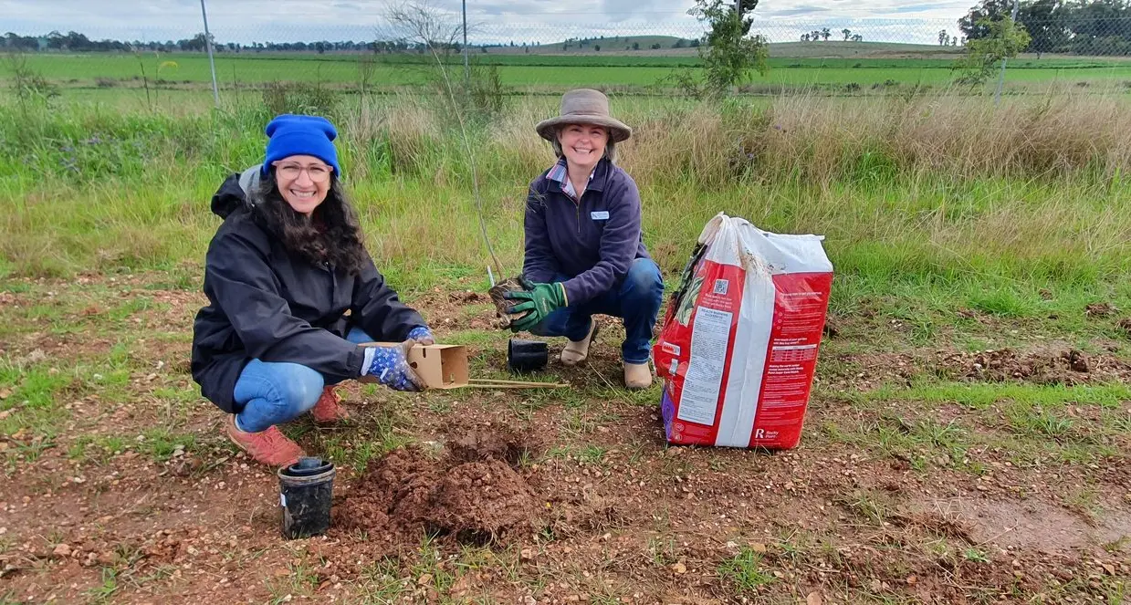 Become part of the CWLL committee