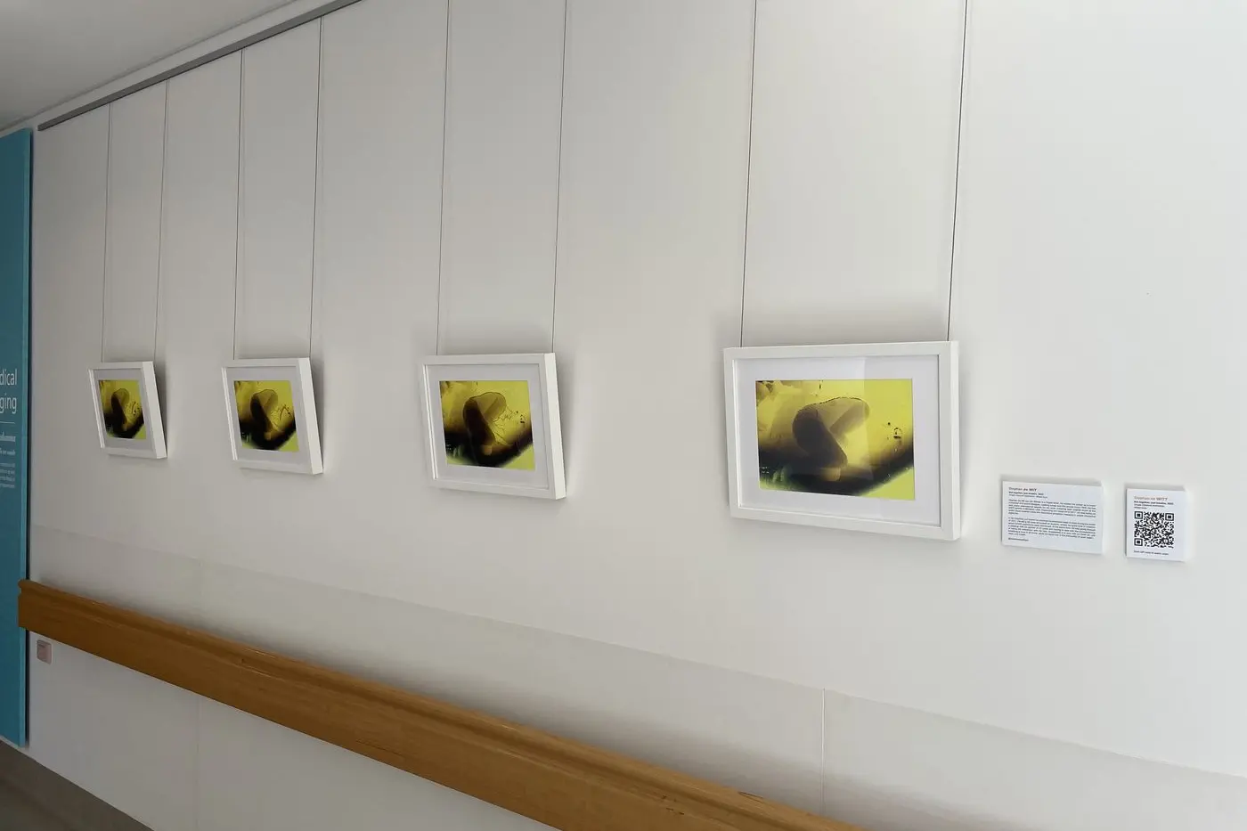 View the still images or point your phone camera at the QR code to load Stephan de Wit\\'s animated work line. PHOTOS: Supplied