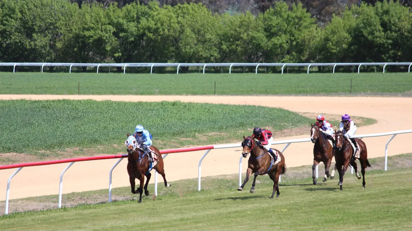 Great day of racing at Grenfell