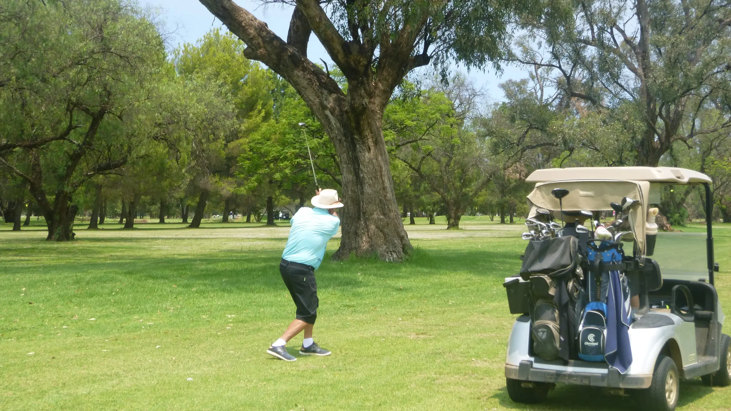 Simmons and Venables our golf victors