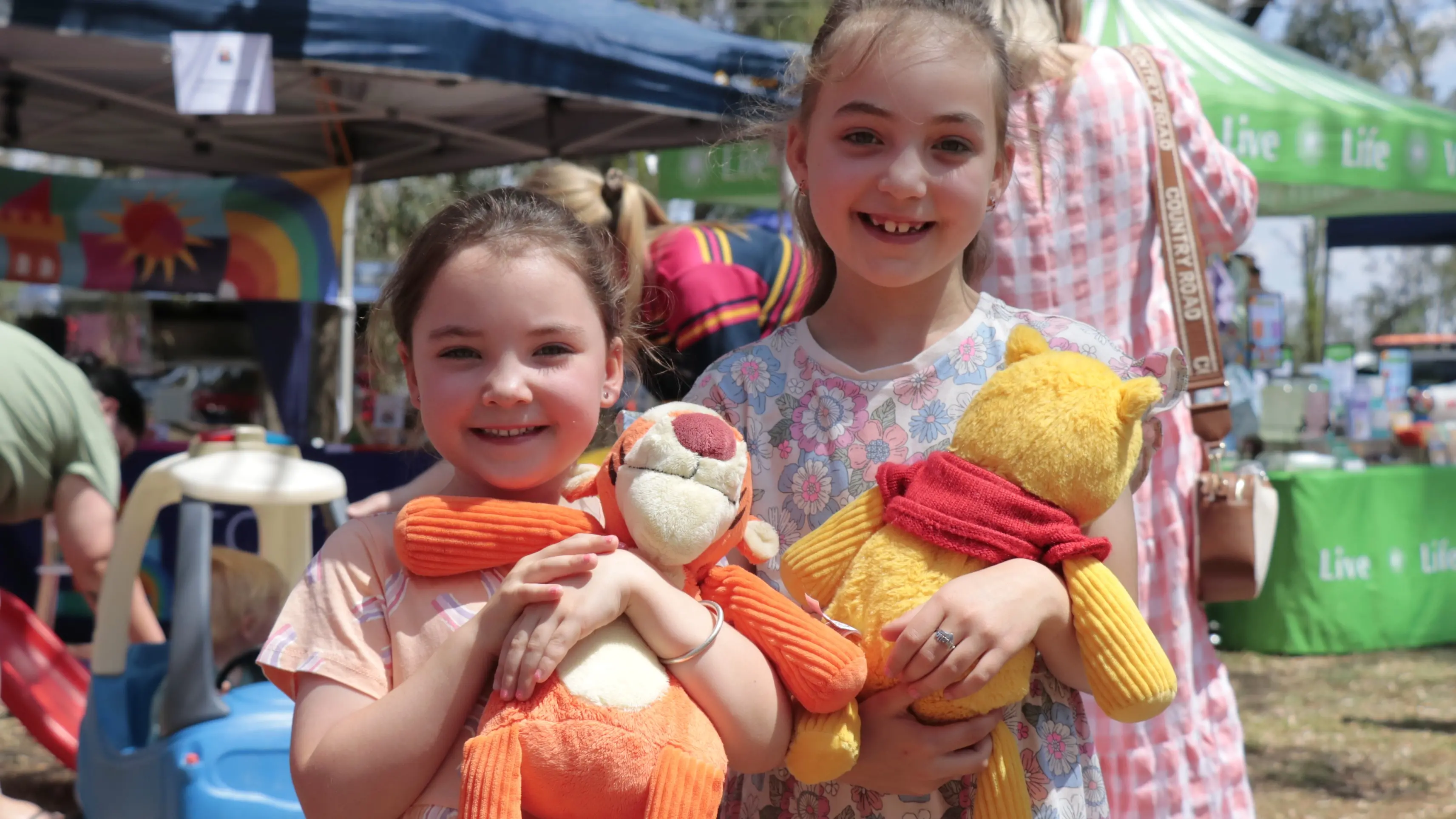 Picnic time for teddy bears
