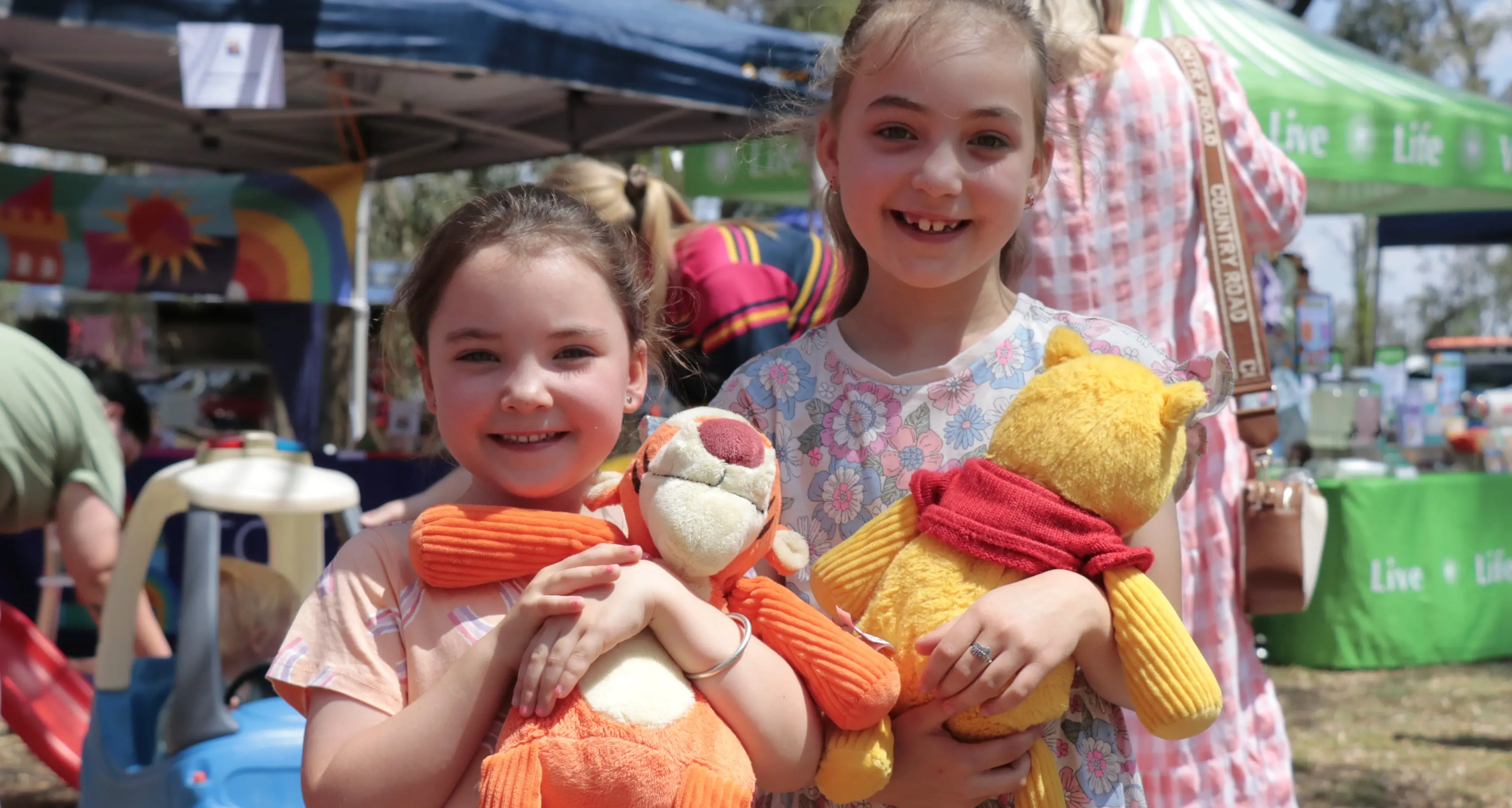 Picnic time for teddy bears