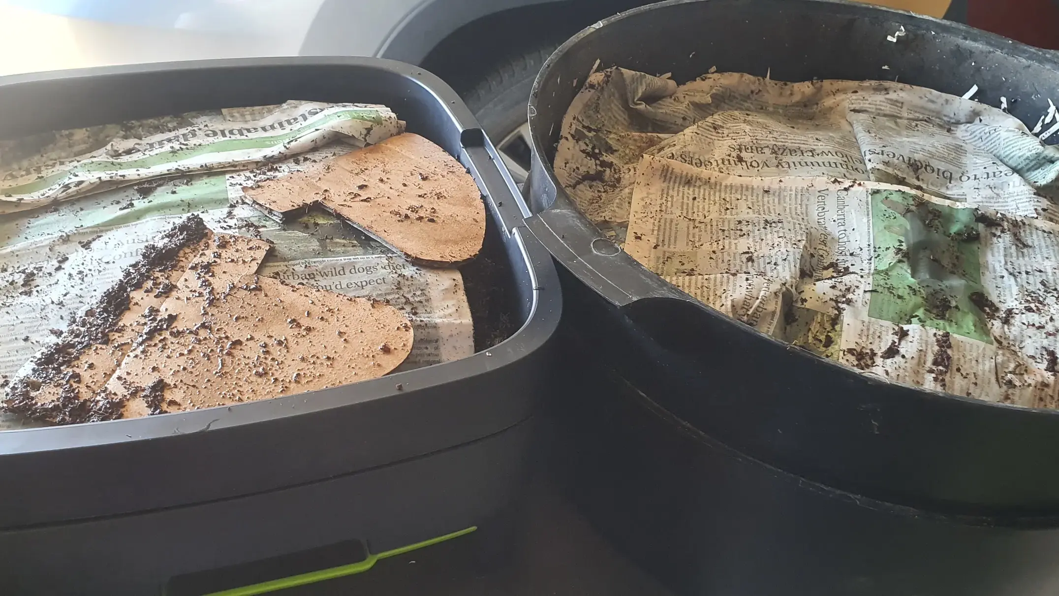 Look after your worm farms this summer