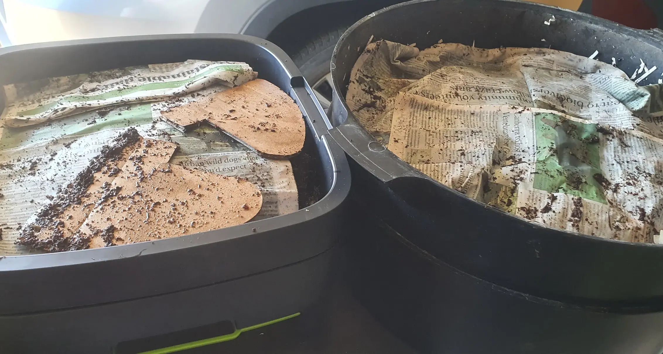 Look after your worm farms this summer