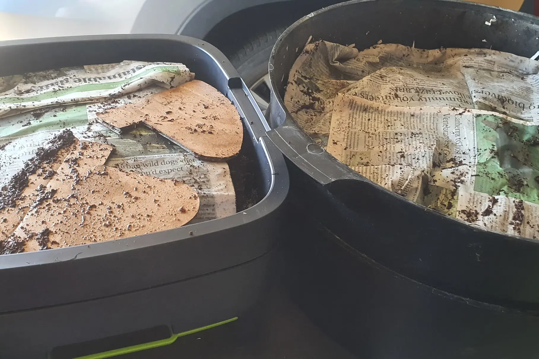 Look after your worm farms this summer