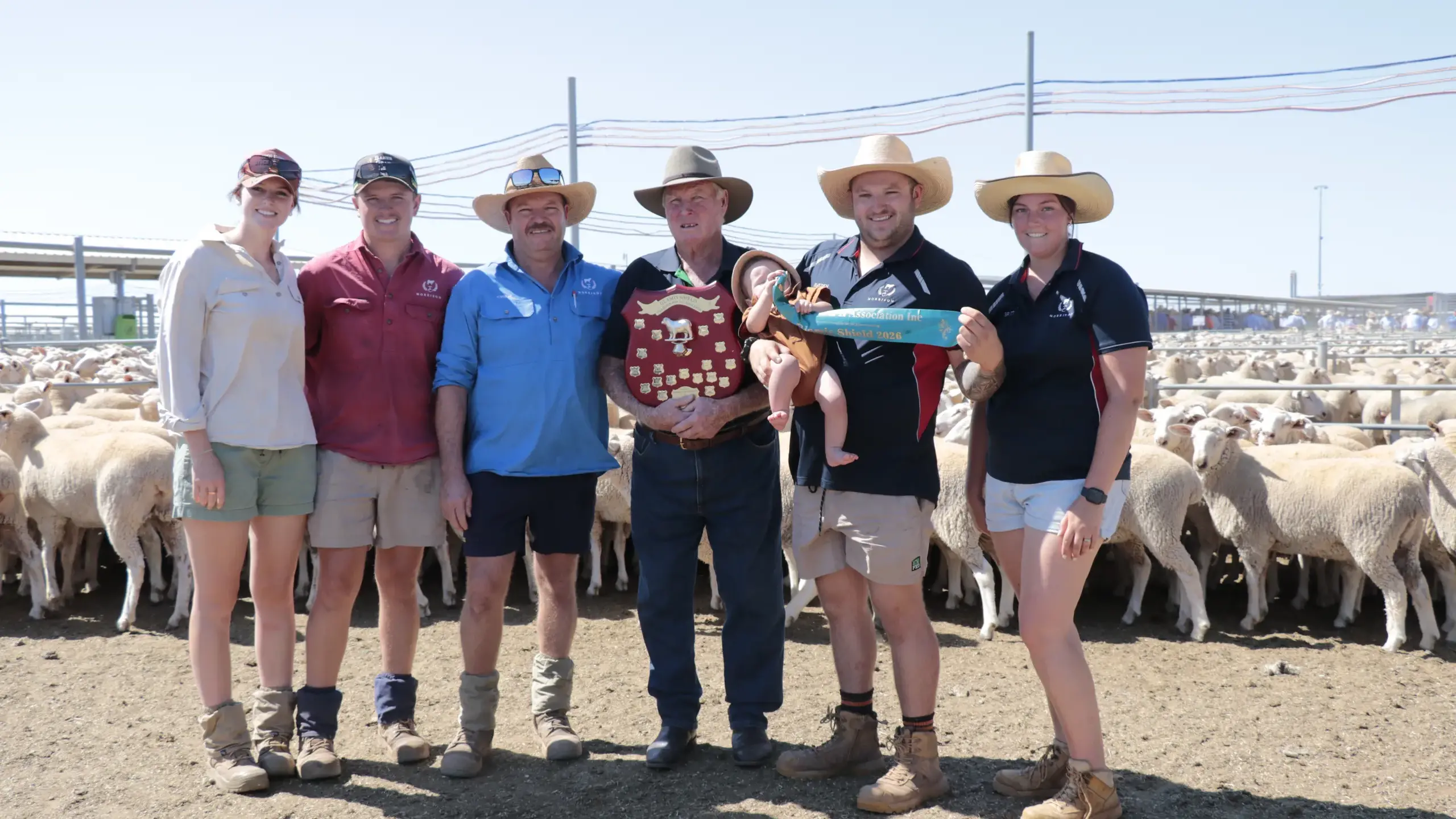 Morrisons' flock impresses at \"solid\" first cross ewe sale