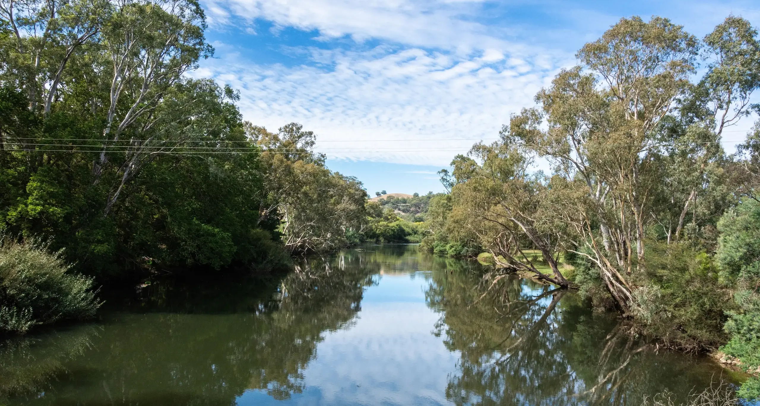 Basin Plan out for review, advocates say it shows more than water is needed
