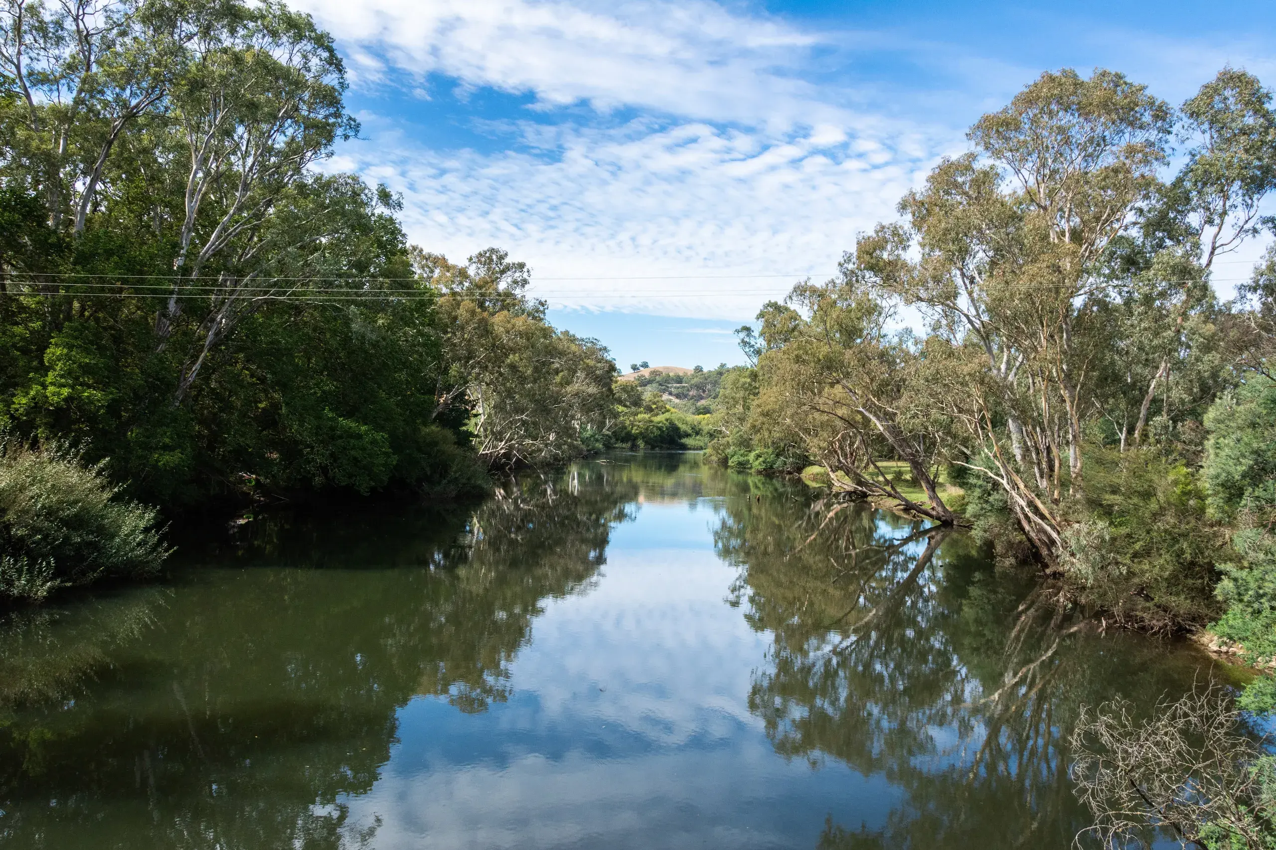 <p>The Goulburn River near Alexandra, Victoria. PHOTO: Alizada Studios, Adobe Photostock</p>\\n