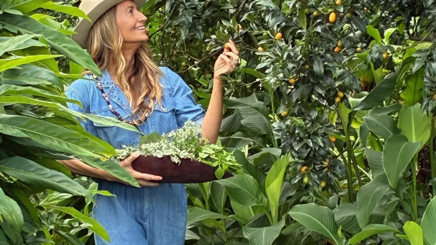 Crop swap, recipe swap and much more