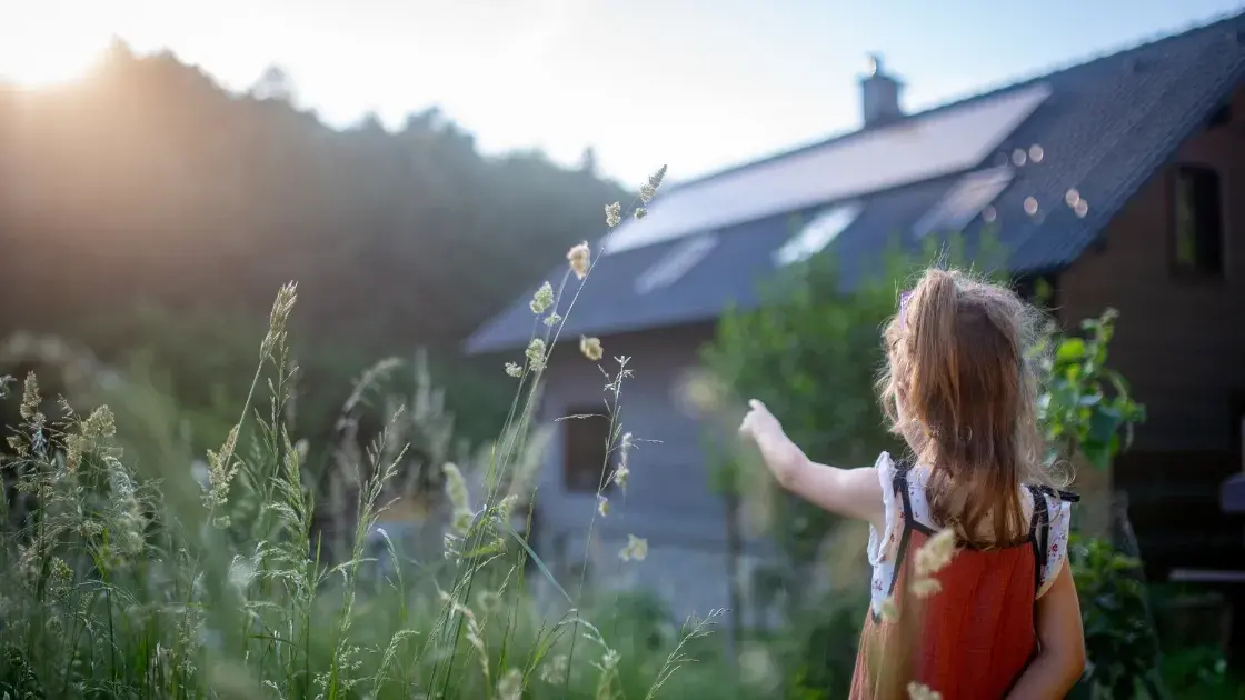 Top Sustainable Home Renovation Trends Taking Over Sydney Suburbs