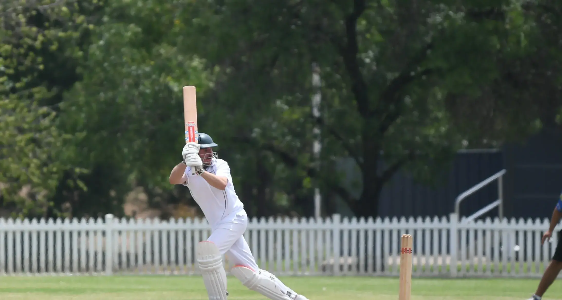 Battapi our minor premiers, it's finals time in local cricket