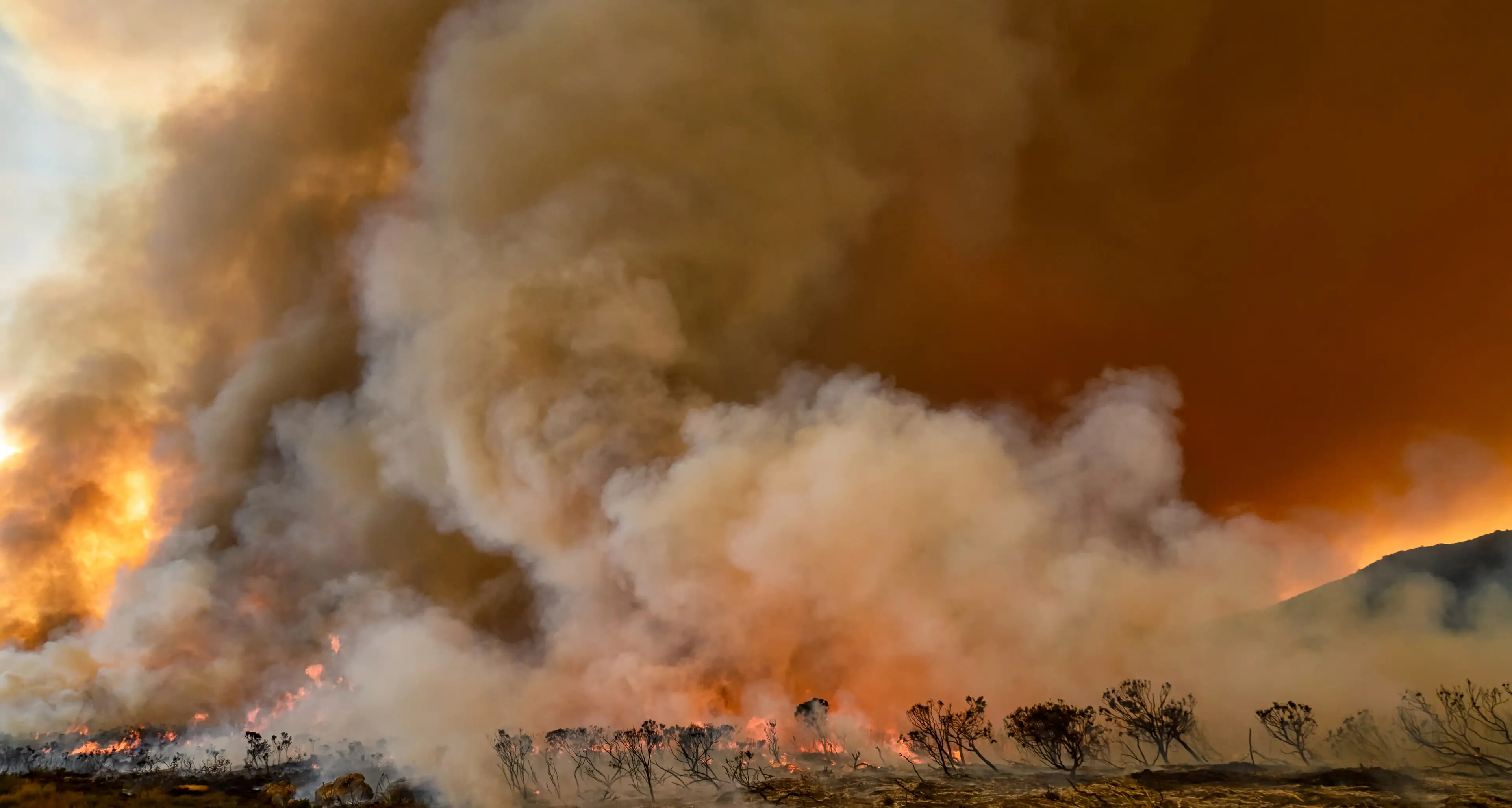 Bush fire danger period comes to a close