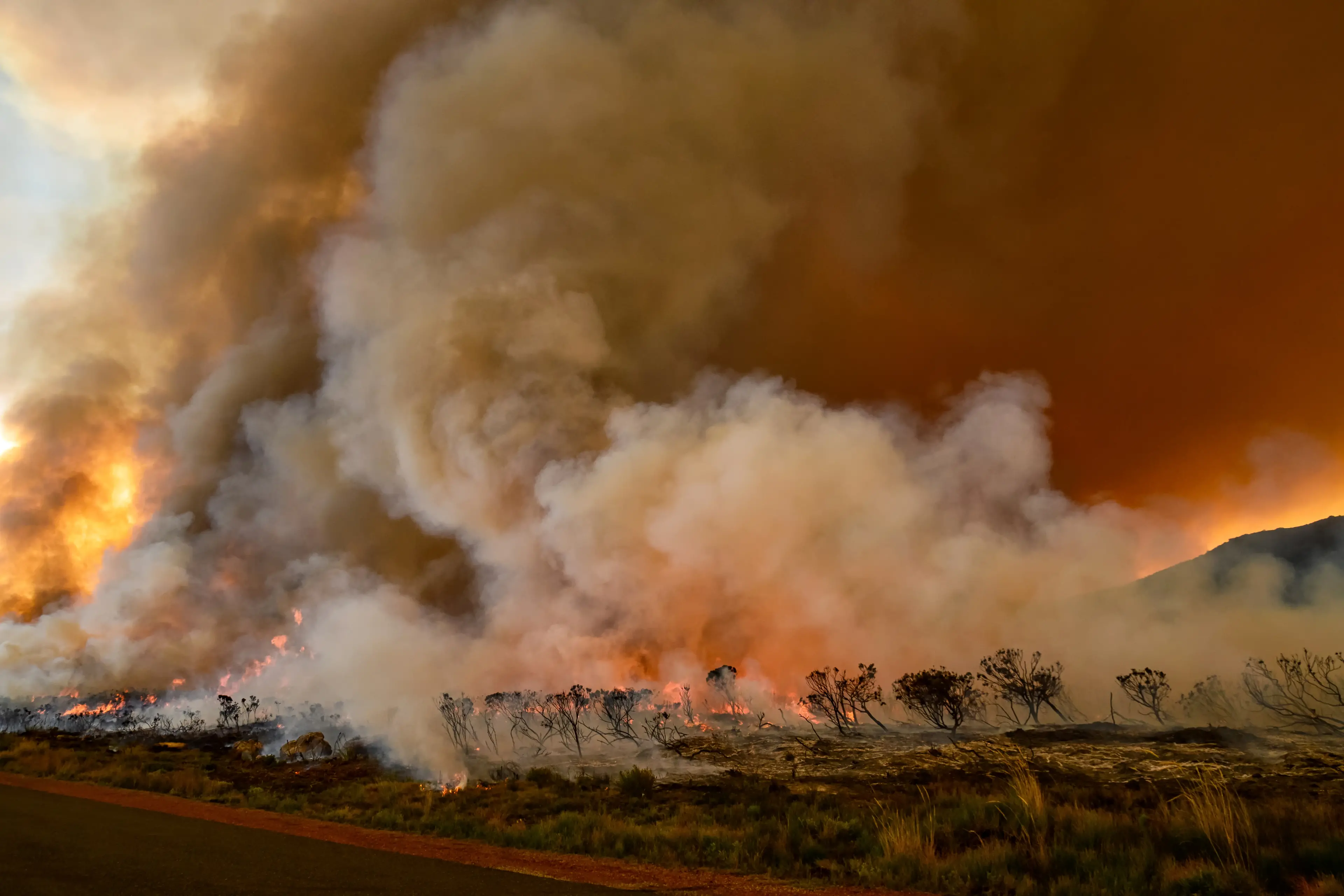 <p>The Bush Fire Danger Period concluded on 31 March for the Weddin Shire. PHOTO: AdobeStock</p>\\n