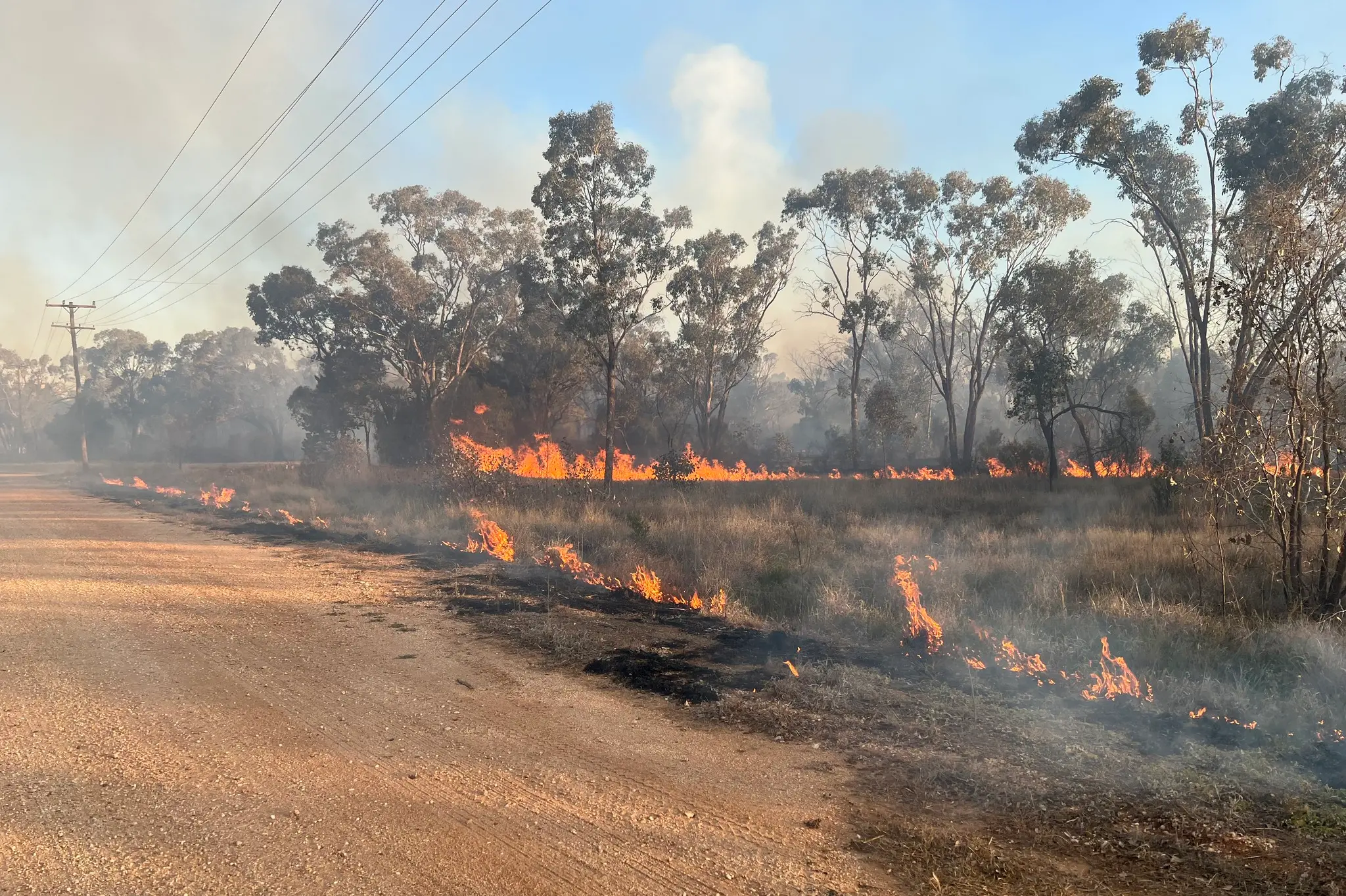 <p>PHOTO: NSW RFS Mid Lachlan Valley Team</p>\\n