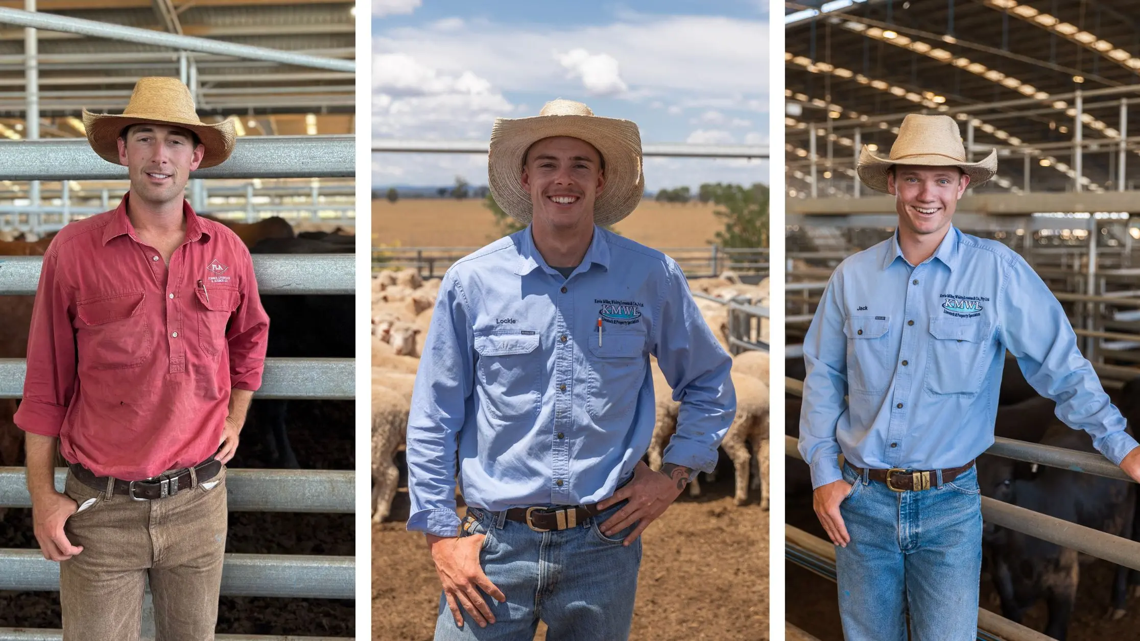 From Forbes saleyards to Sydney Royal arena