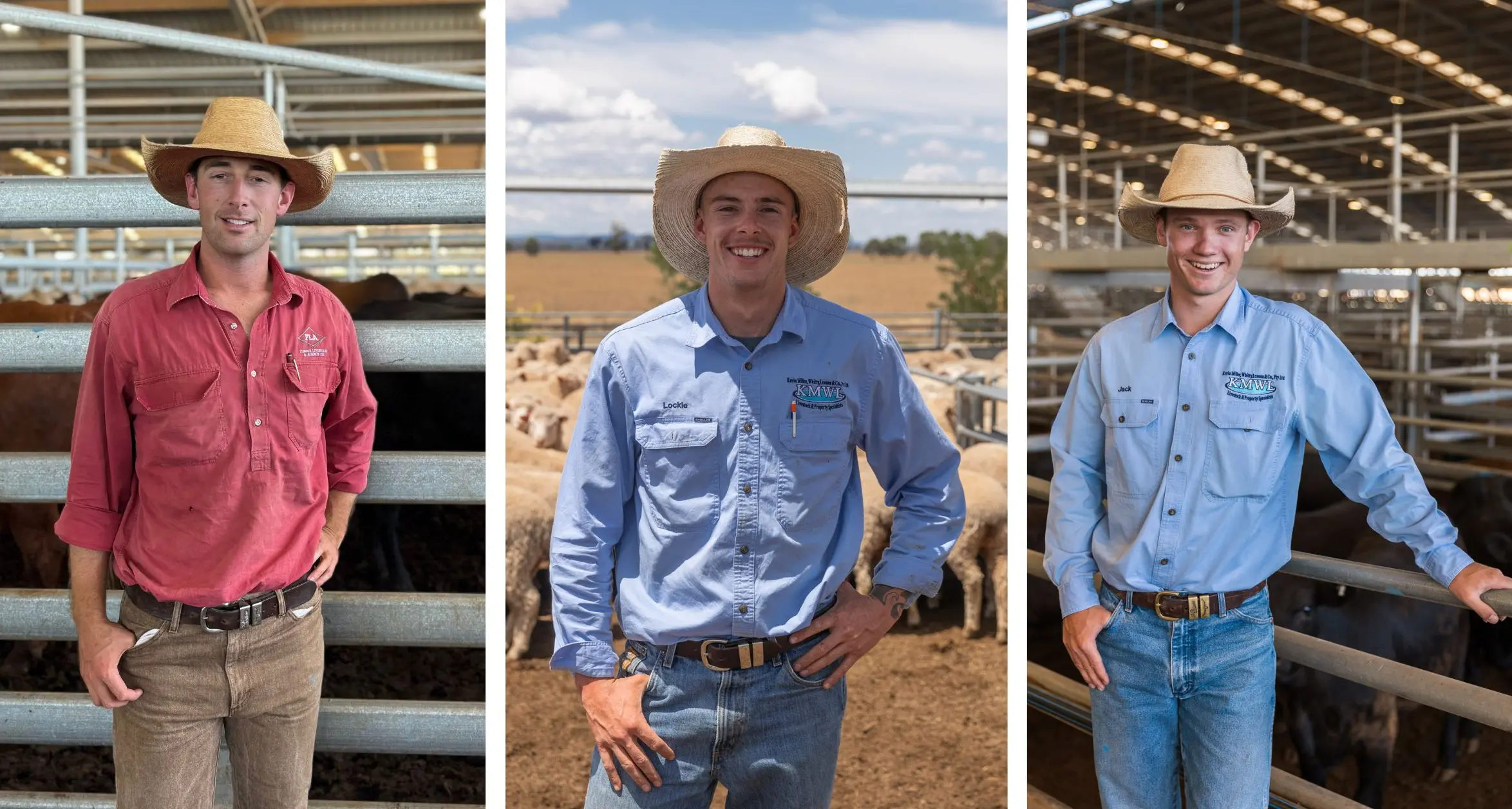 From Forbes saleyards to Sydney Royal arena