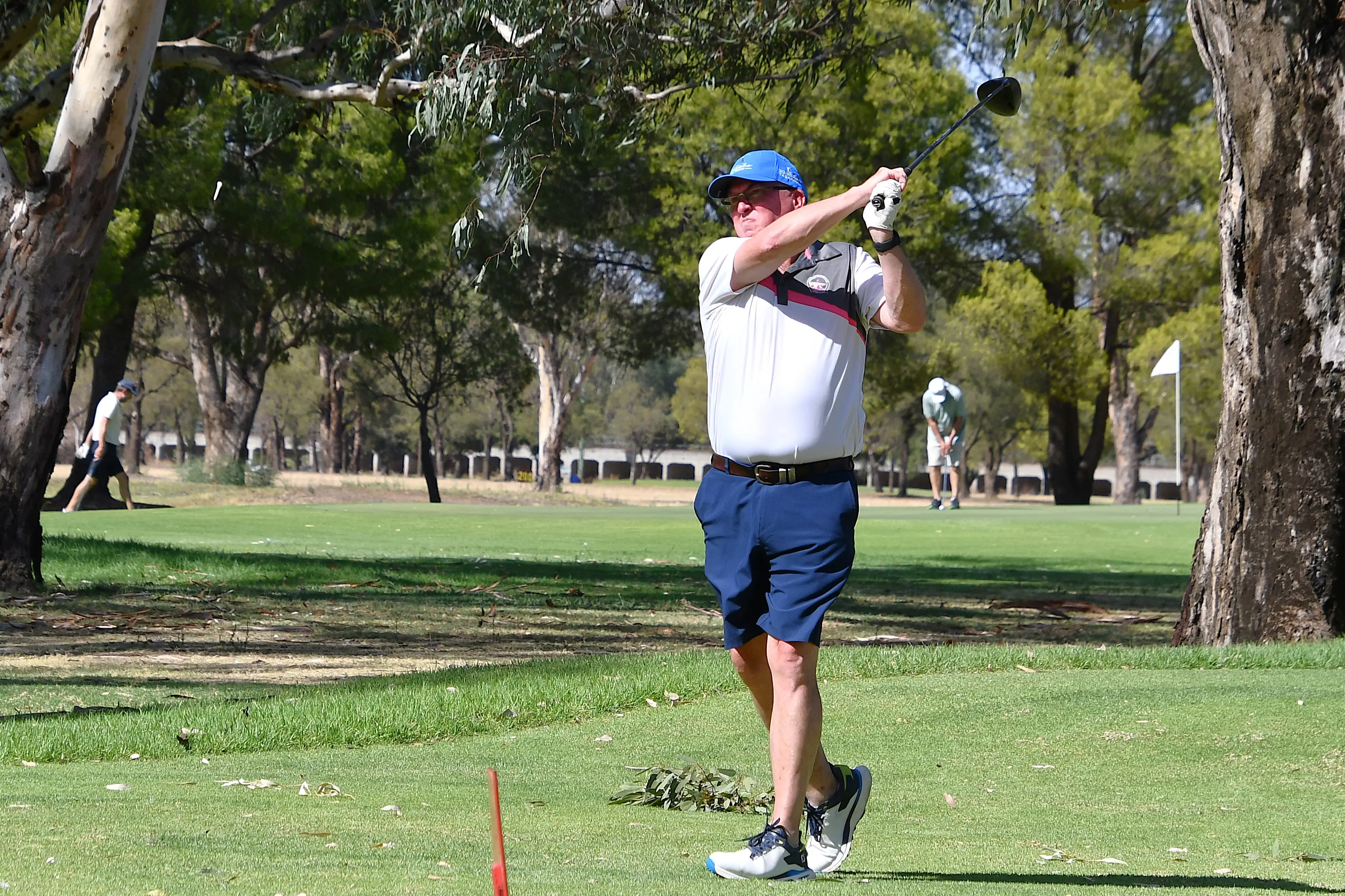 <p>Wayne O\\'Neill tees off in brilliant conditions on the Forbes course. </p>\\n