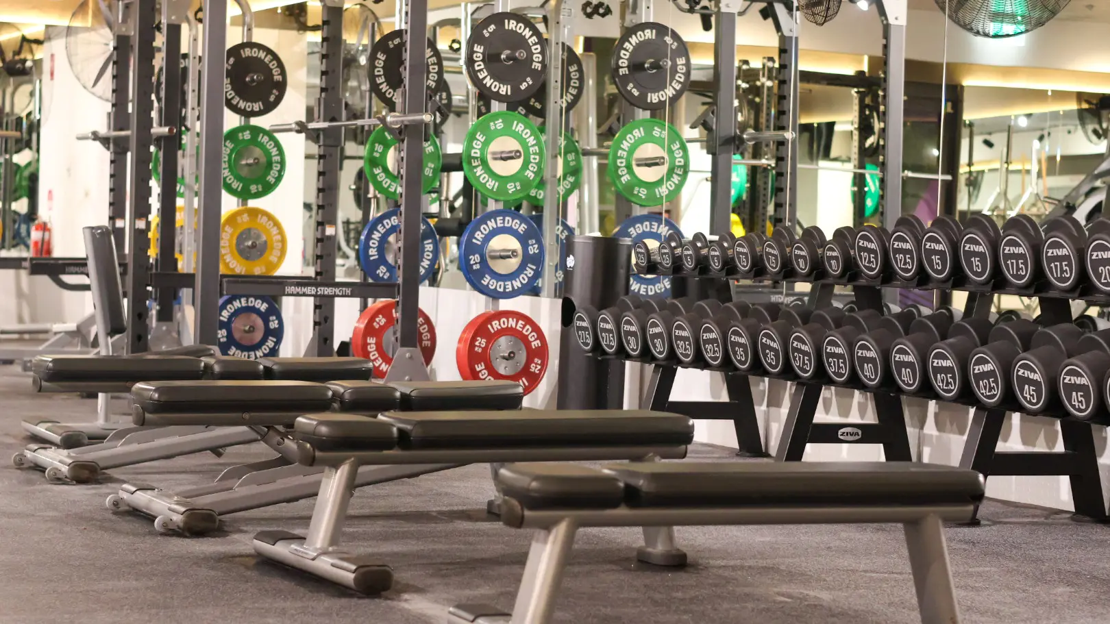 New-look Anytime Fitness welcomes you to grand opening