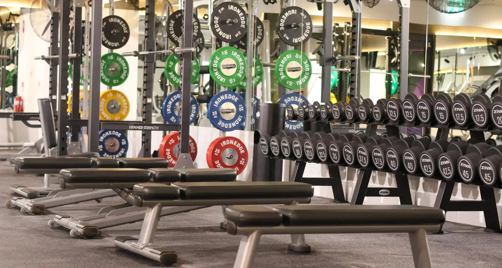 New-look Anytime Fitness welcomes you to grand opening