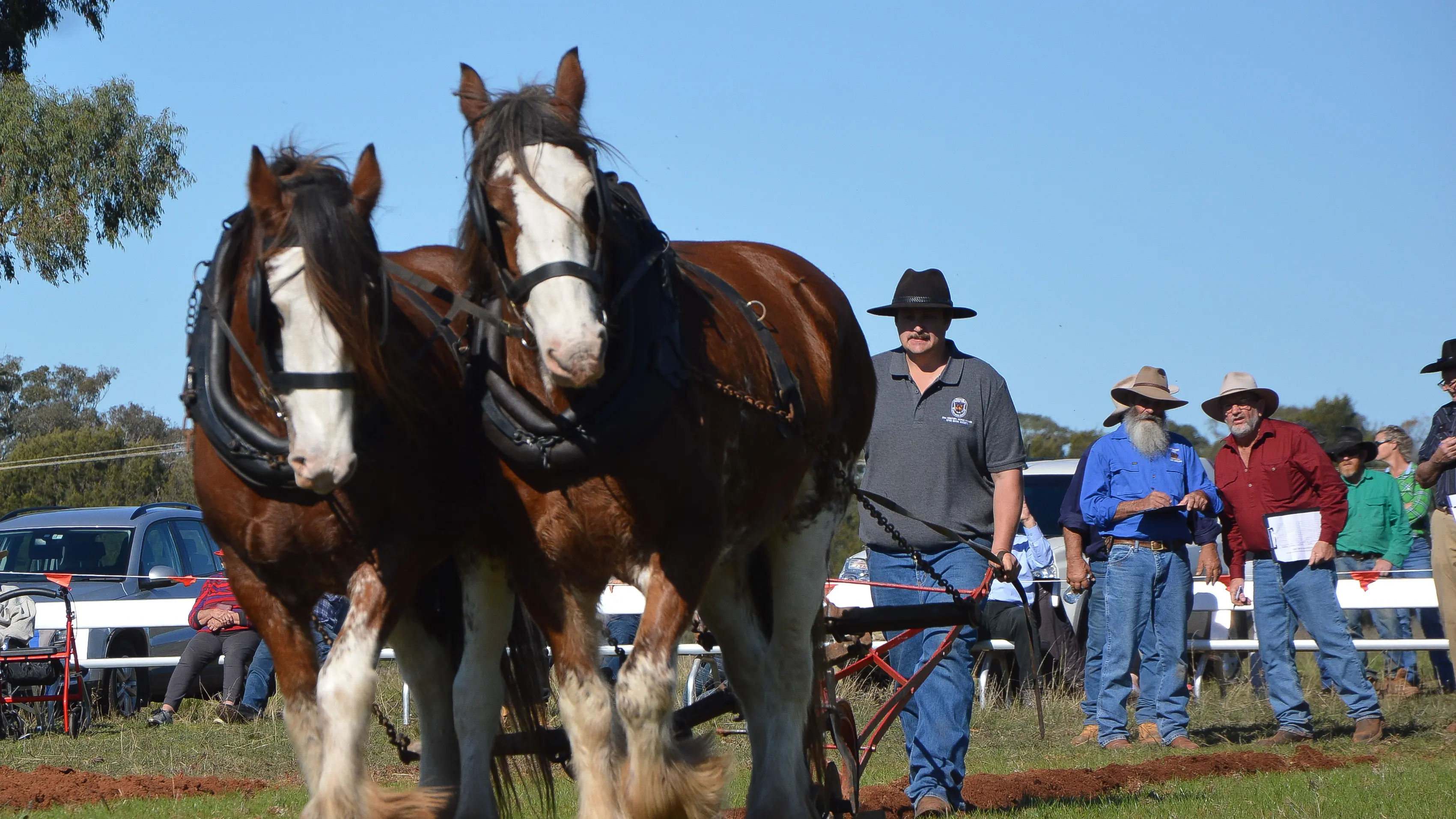 Peak Hill hosts 50th anniversary Golden Plough