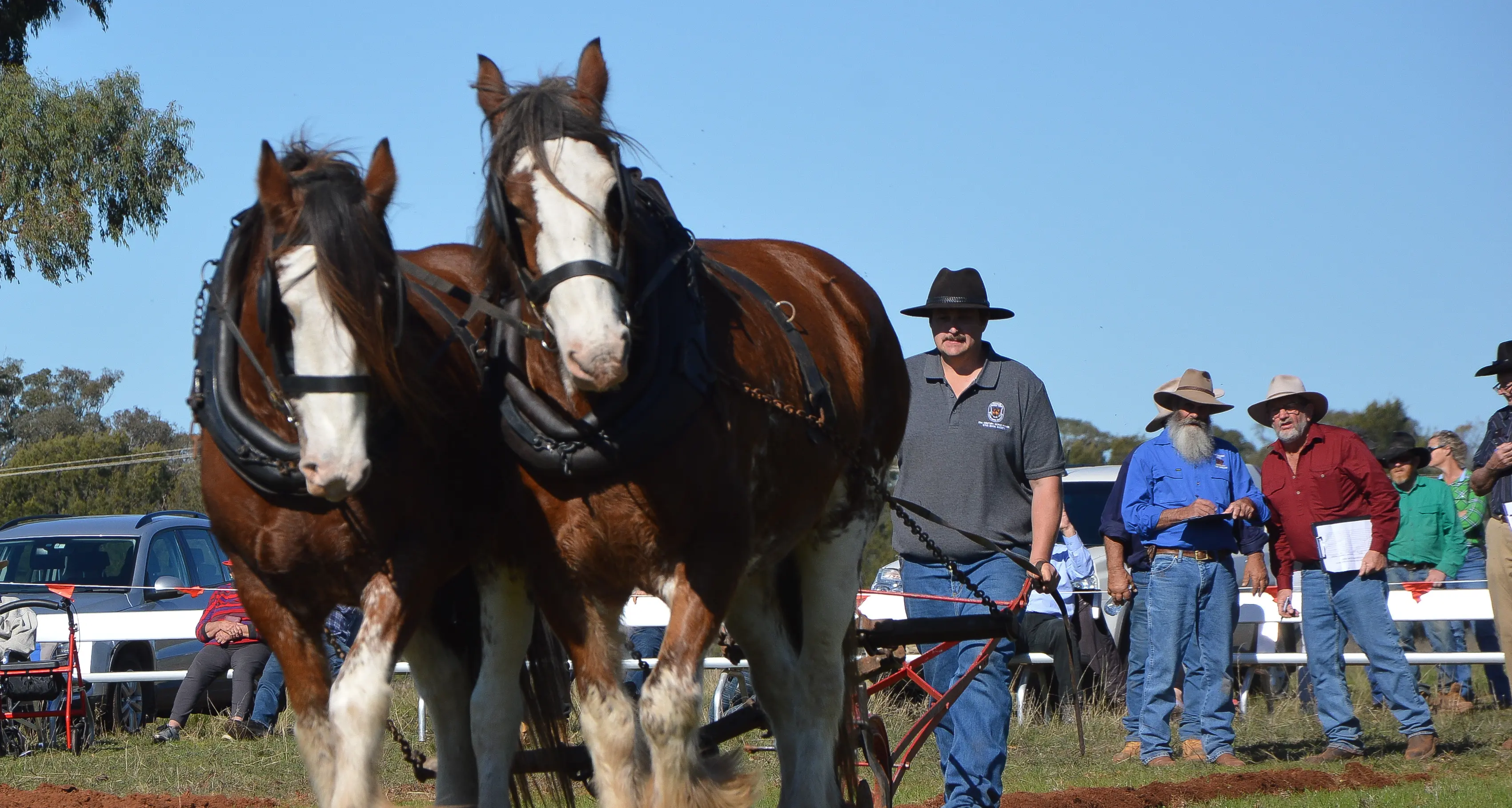 Peak Hill hosts 50th anniversary Golden Plough