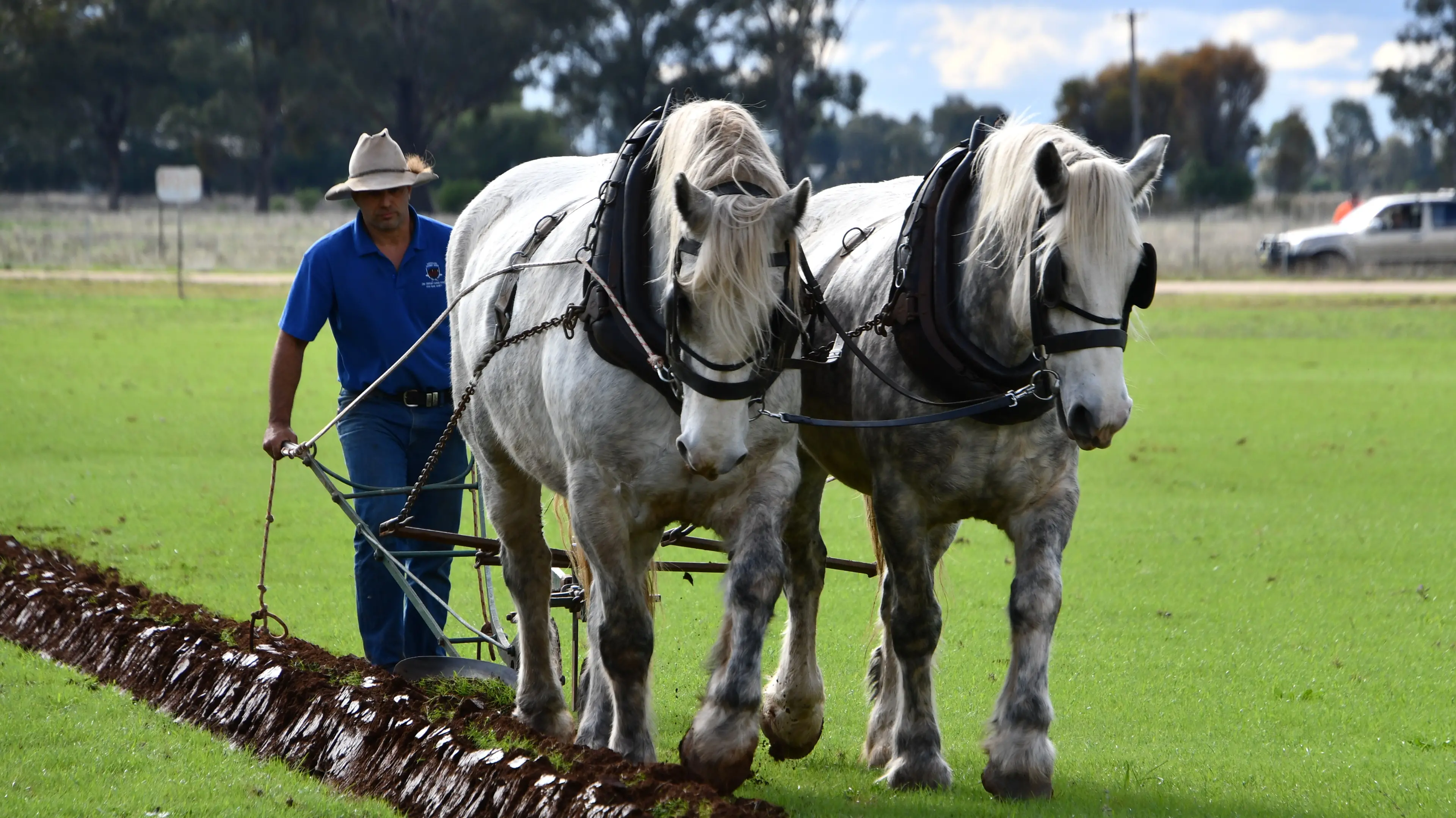 Agricultural history lives on at anniversary Golden Plough