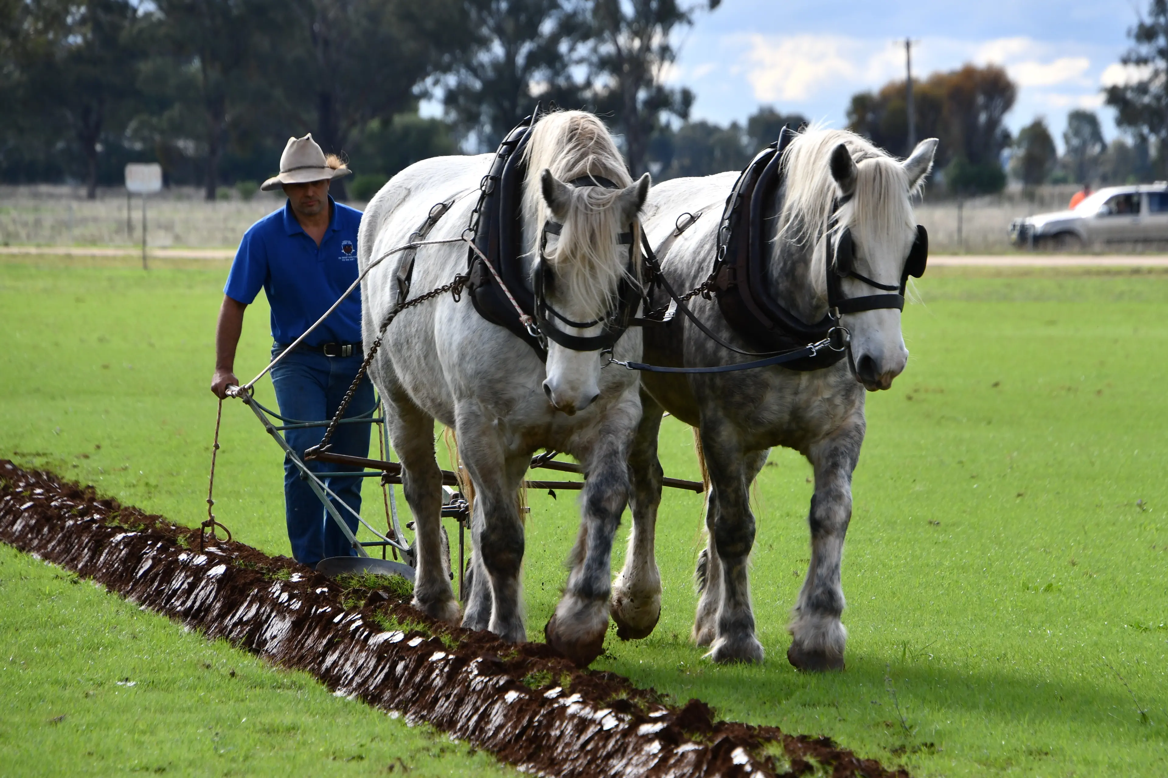<p>Aleks Berzins from Exeter with Zapper and Zoupa create their first of ten furrows with great accuracy to become the  winners of the 2026 Golden Plough competition. PHOTO: Jenny Kingham</p>\\n