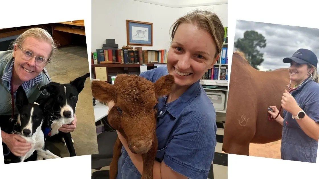 Get to know your local vet: Lachlan Valley Vets