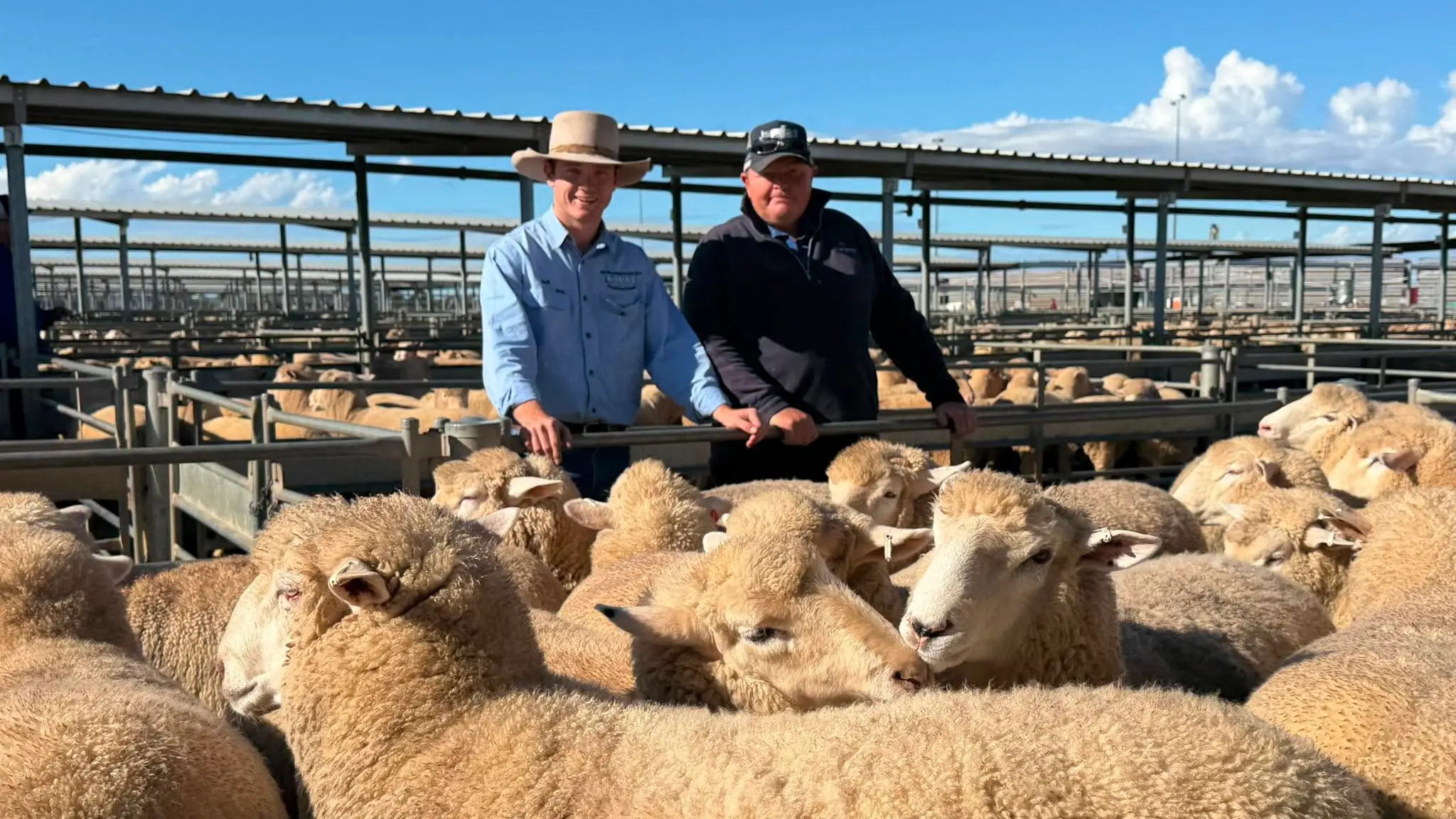 Koorawatha lambs fetch $480 a head to set new high for Forbes saleyards