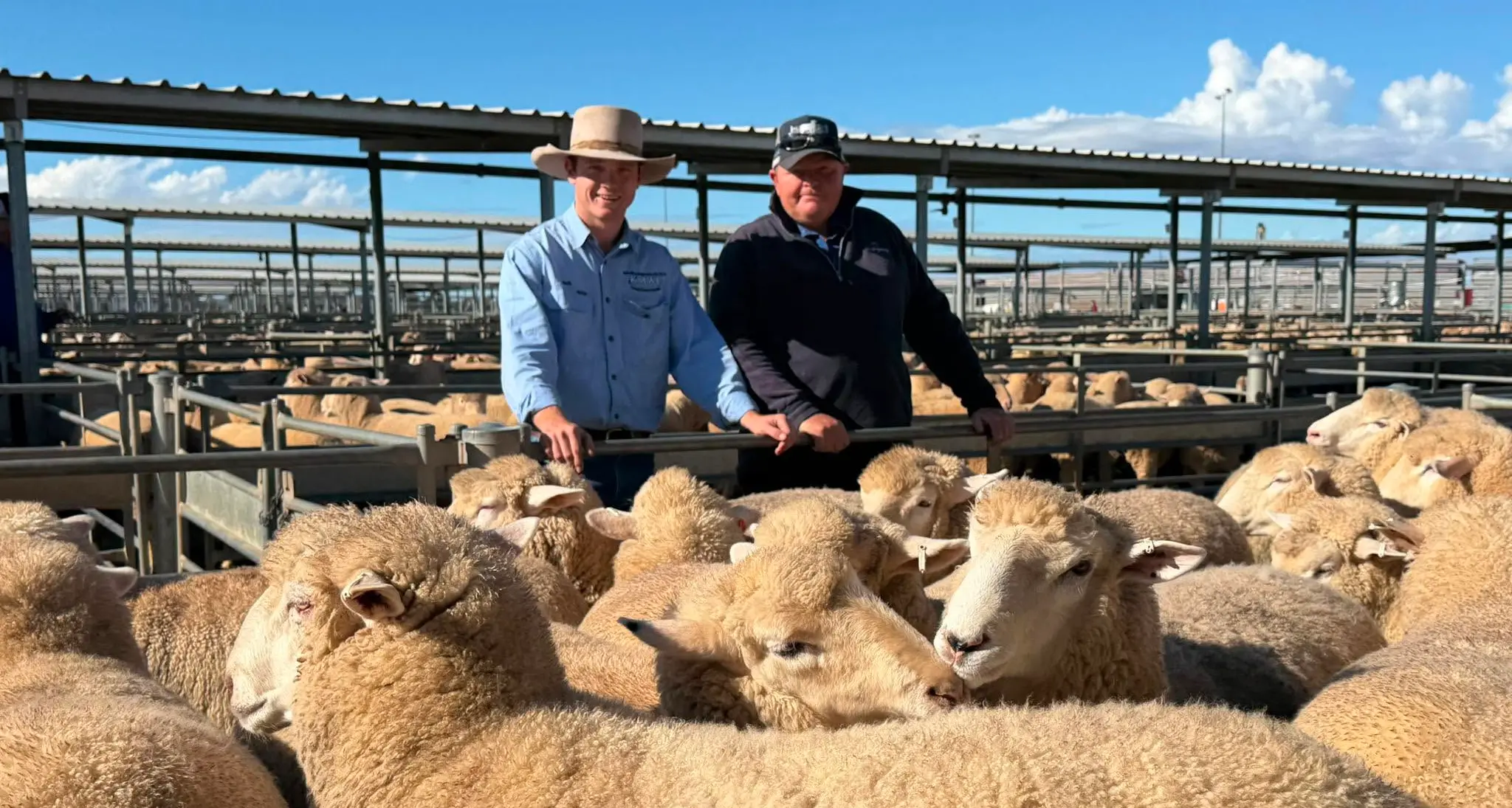 Koorawatha lambs fetch $480 a head to set new high for Forbes saleyards