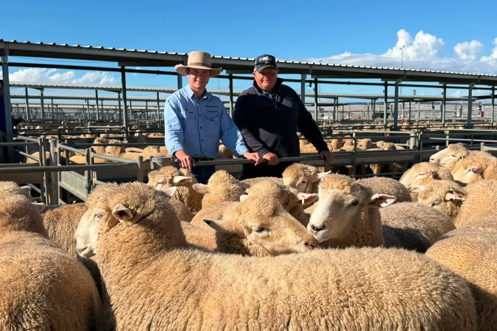<p>KMWL Agent Jack Whitty with vendor Peter Sturgiss amongst the record-priced lambs. PHOTO: KMWL</p>\\n