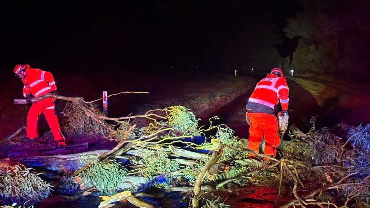SES volunteers respond to storm damage, fallen trees