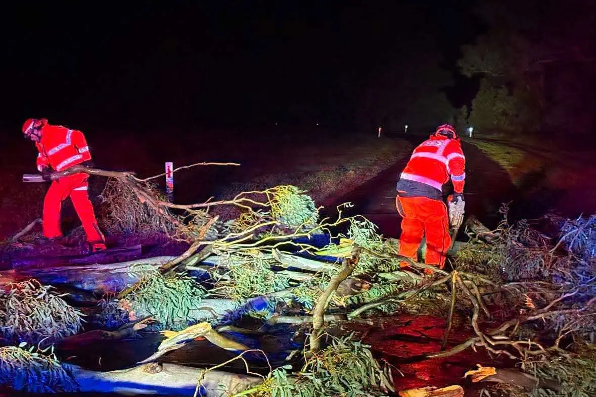 SES volunteers respond to storm damage, fallen trees