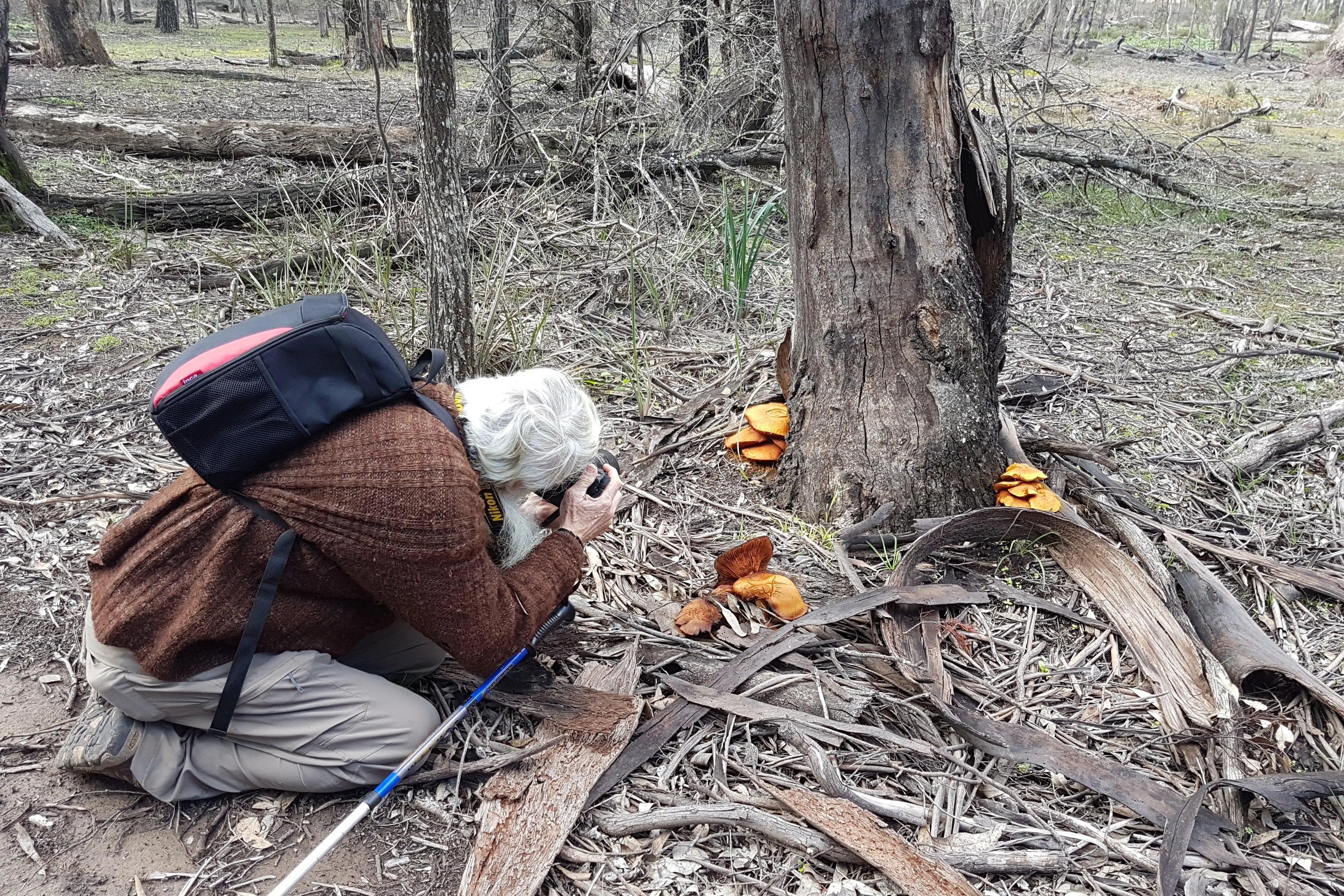 <p>Graeme MacRaild photographing local fungi for the book.</p>\\n